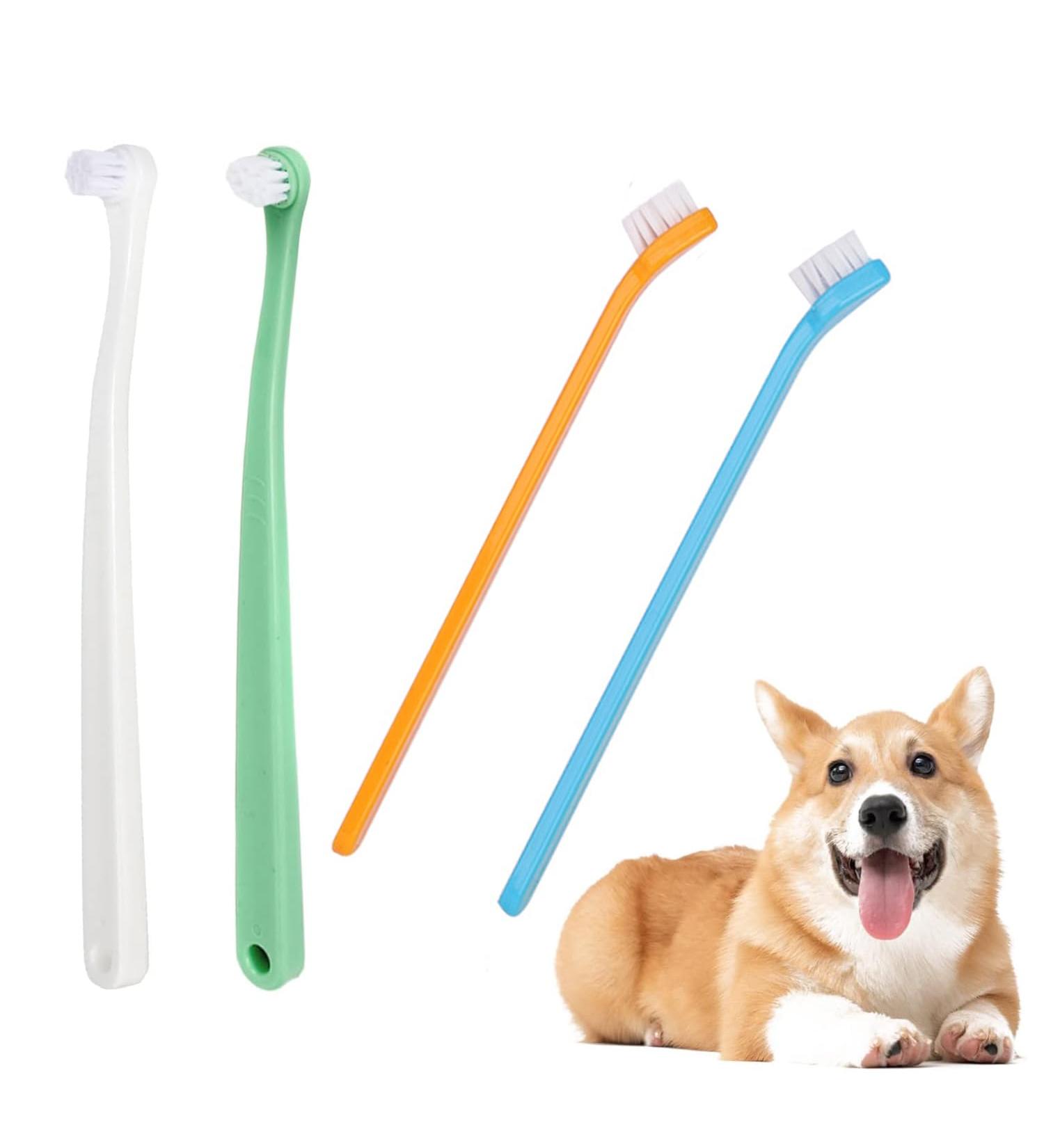 CAVLA 4 Pcs Small Dog Toothbrushes Cat Toothbrush Mini Head Soft Bristle Pet Toothbrush Pet Dental Care Kit Pet Oral Cleaning Products for Puppy Kitten Cats&Small Breed Dogs (B) - Buy Online on GoSupps.com
