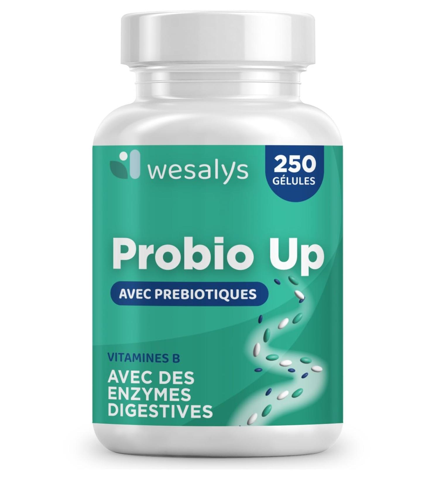 Probiotique flore intestinale - 250 g lules - 20 souches bact riennes Probiotiques et prebiotique lactobacillus gasseri Bifidobact ries Enzymes digestives Inuline FOS 20 milliards UFC - Buy Online on GoSupps.com