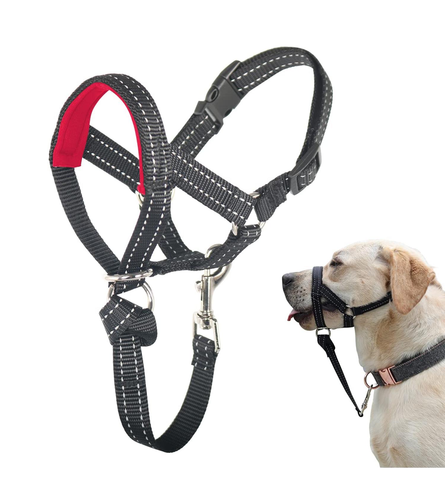 Barkless Dog Collar - No Pulling Soft Upholstery for All Sizes - Free Training Instructions Included | Red Pad/Black - Buy Online on GoSupps.com