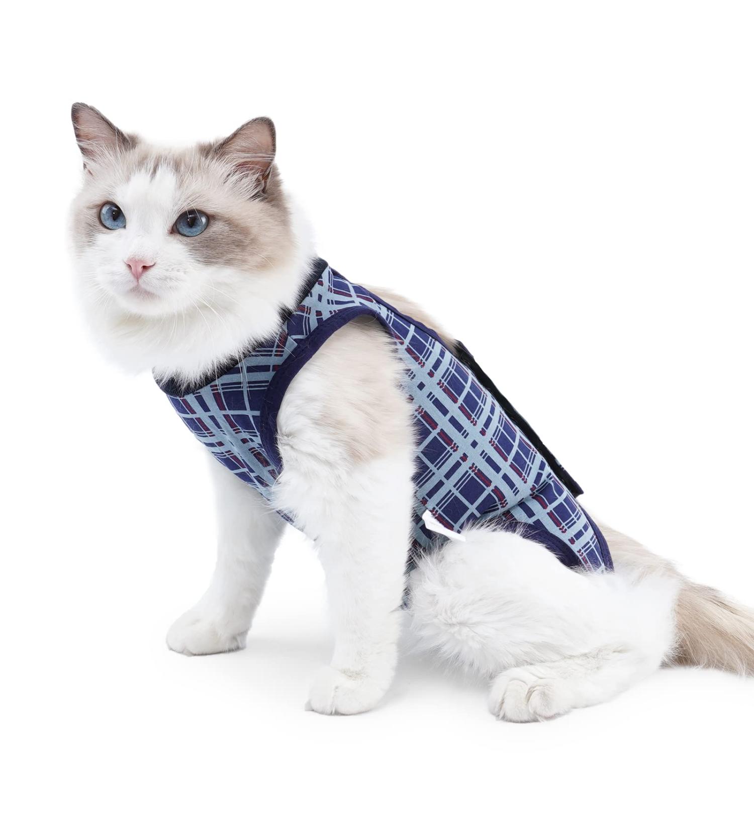 Dotoner Cat Surgery Recovery Suit for Abdominal Wounds or Skin Disorders Breathable Substitute to E-Collar  Anti-Lick Wound L Blue - Buy Online on GoSupps.com