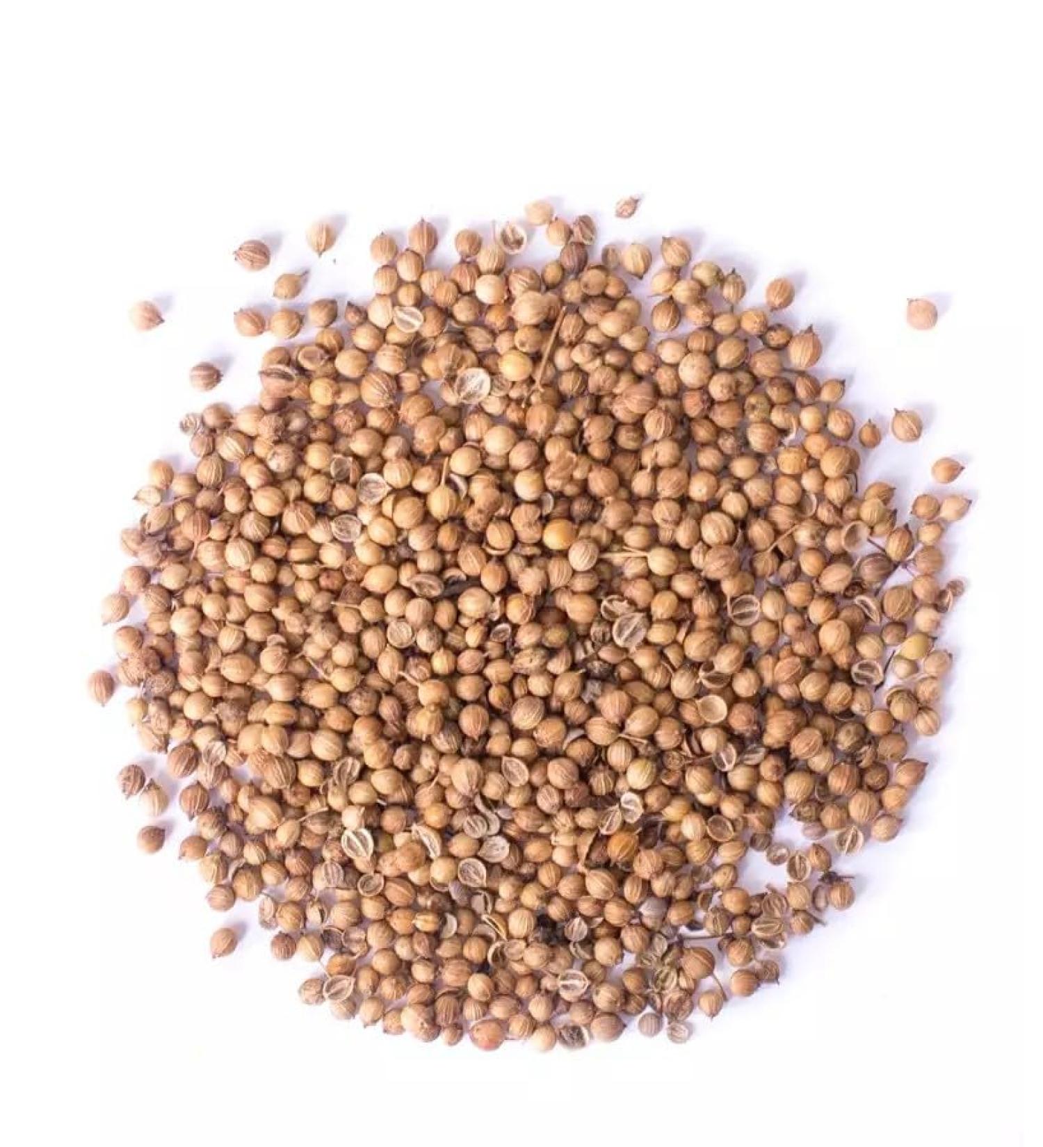 LA PLANTIGO Coriander 100 g - LA PLANTIGO