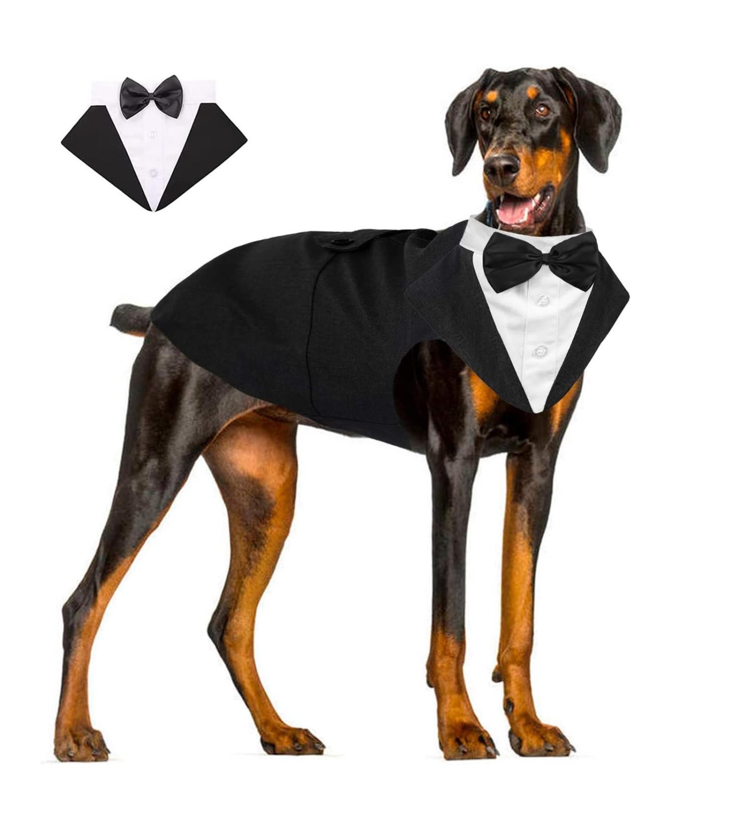 Dog Tuxedo Dog Wedding Outfit and Bandana Set Dog Tuxedo Costume Pet Clothes Puppy Formal Shirt with Removable Bow Tie Dog Suit For Small Medium Large Dogs Dog Outfit for Party Birthday Festival L(Chest:20.9-25.6" Body: 16.5") Black - Buy Online on GoSupps.com