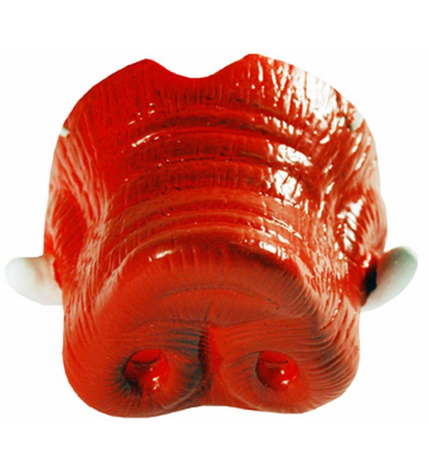NCAA Arkansas Razorbacks Hog Nose with Tusk