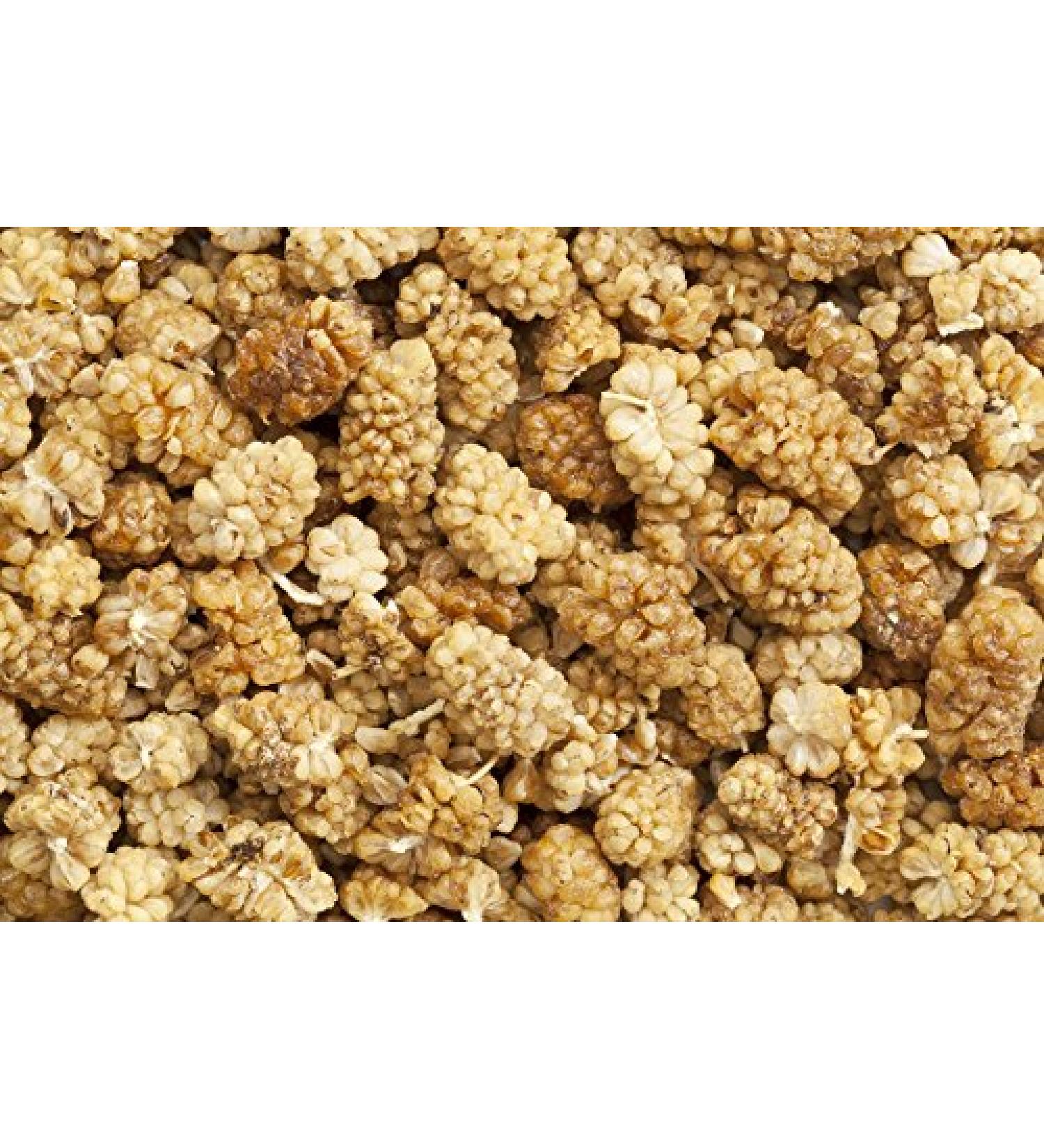 DORIMED Dehydrated white blackberries 1 kg I natural dried fruit I No added sugar I No GMO I No preservatives I No additives and no sulfur I Suitable for vegans