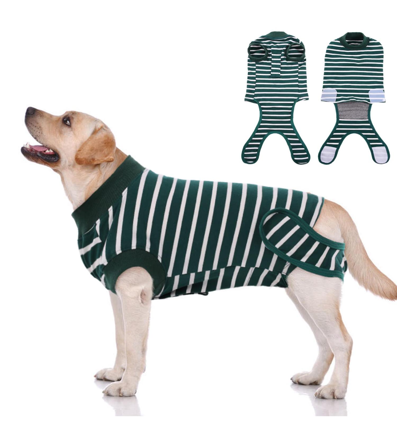 XXL Dog Surgery Recovery Suit - Breathable Postoperative Vest for Puppies | Medical Clothing & E-Collar Replacement | Ruff Green Stripe - Buy Online on GoSupps.com