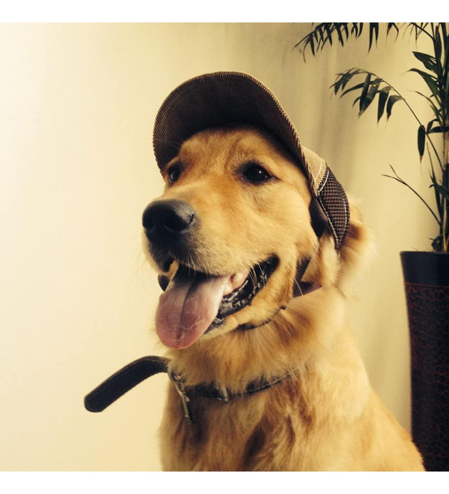 Adjustable Dogs Baseball Cap with Ear Holes - Breathable Sun Hat for Pets - Summer Travel Dog Cap for Puppies - Brown - Buy Online on GoSupps.com