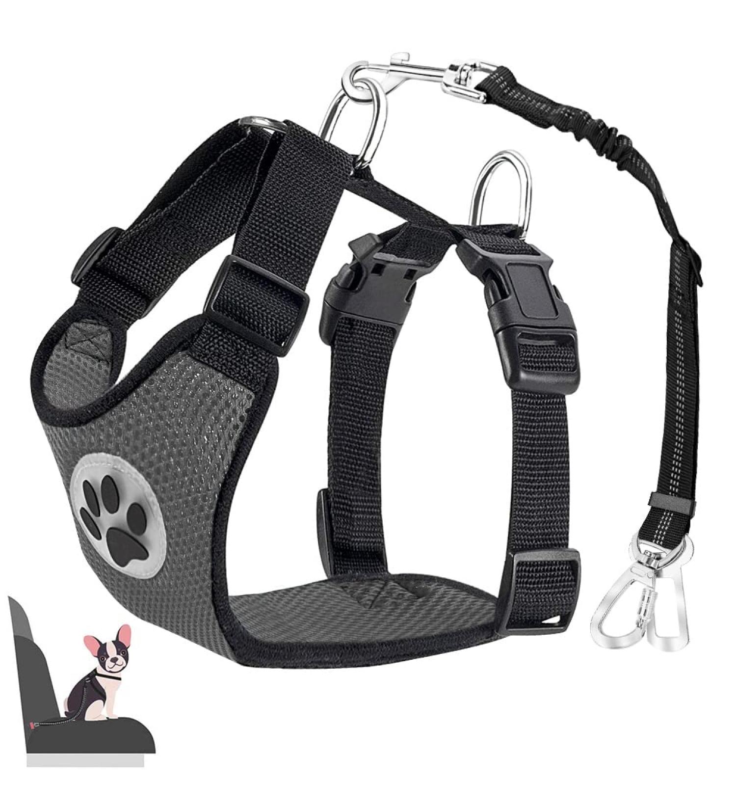 Eyin Dog Harness with Seat Belt - Adjustable Breathable 2 Carabin Hooks - Ideal for Car Safety (Gray XS) - Buy Online on GoSupps.com