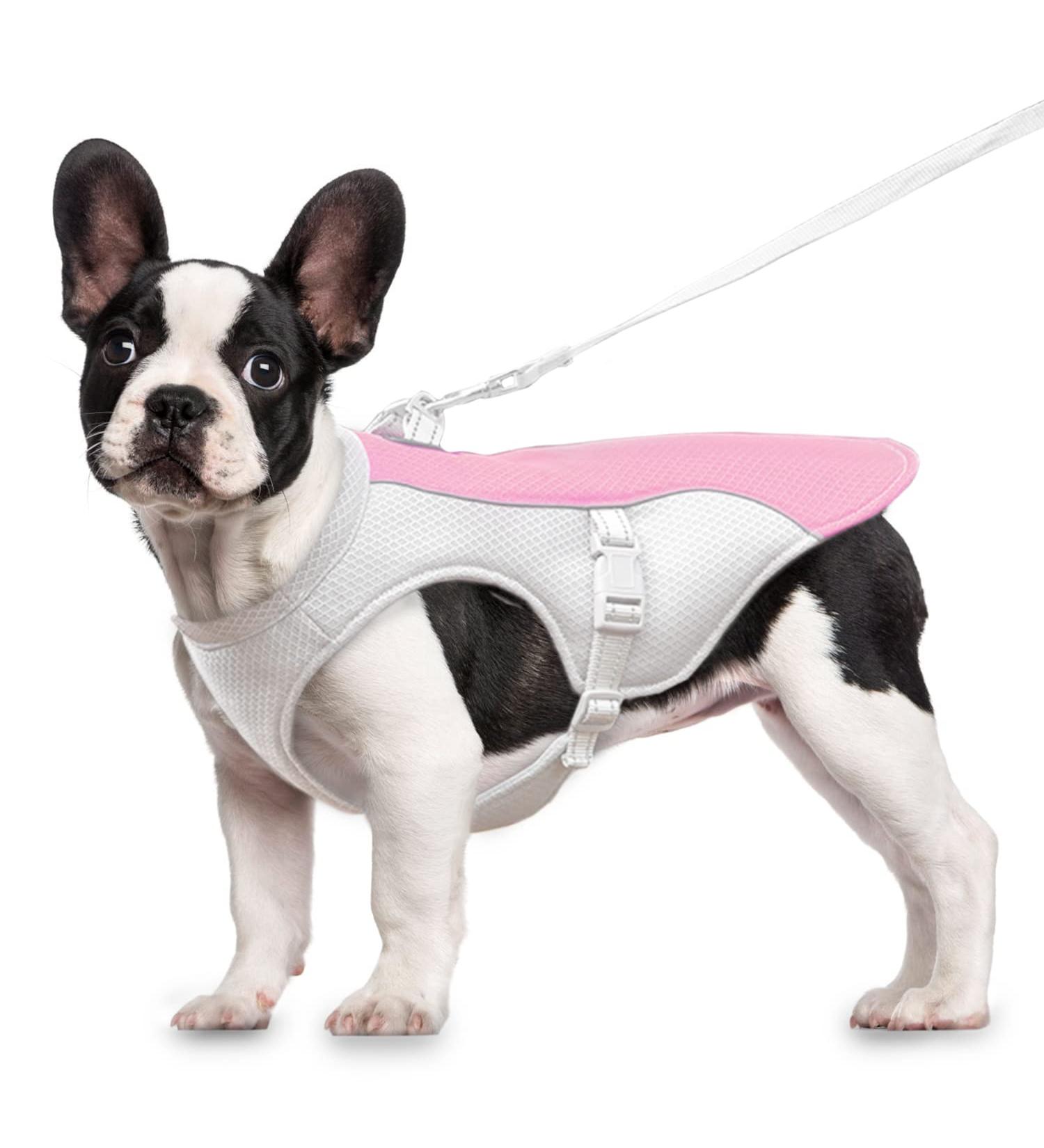 Buy Adjustable Dog Cooling Vest & Coat - Perfect for All Breeds | Cool Sports Jacket for Hot Weather - S-ROSA Rosa's Collection - Buy Online on GoSupps.com
