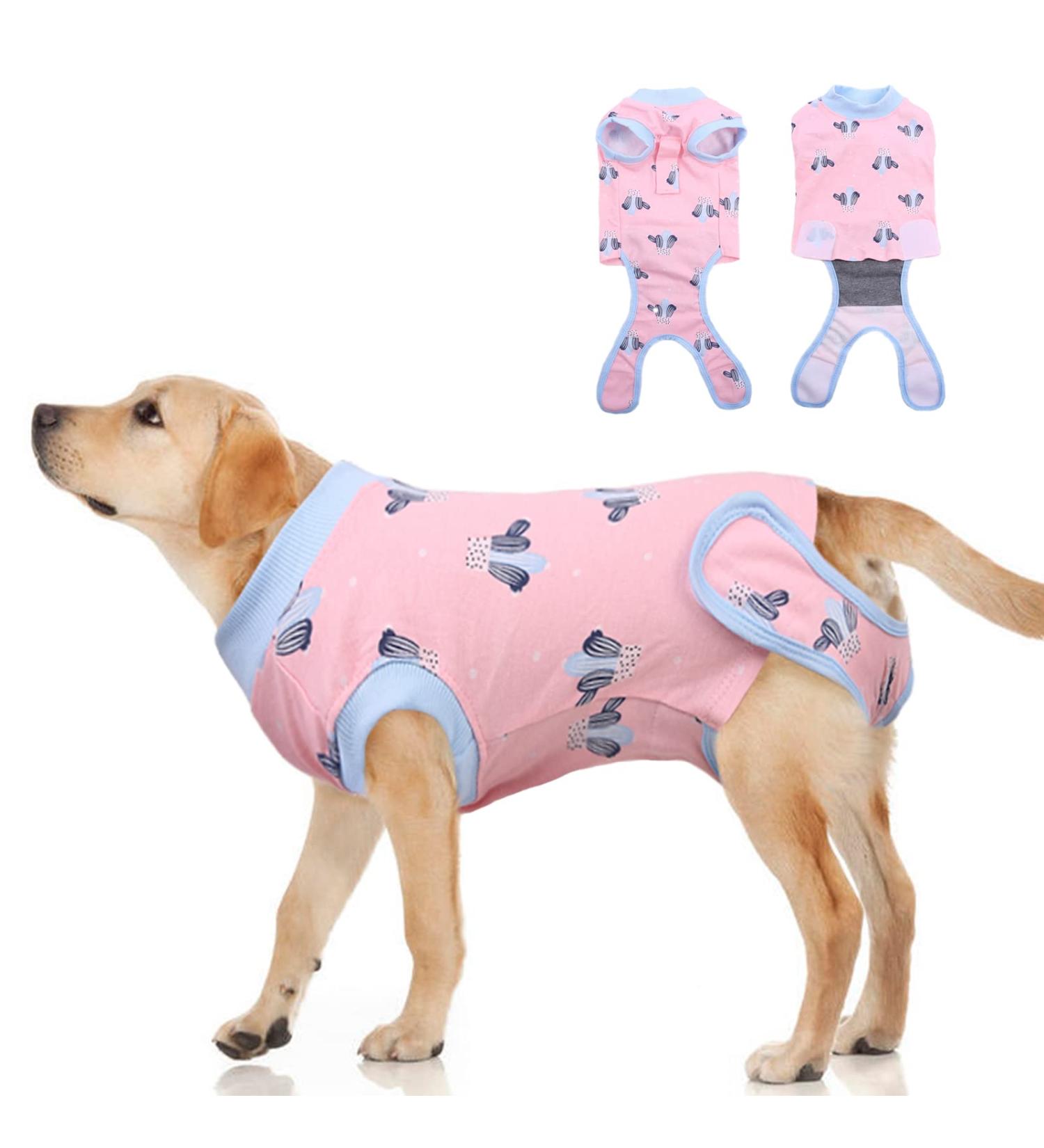 Shop Pumyporeity Recovery Suit for Dogs - Postoperative Wound Protection & Anti-Licking Suit (Pink Cactus XL) | Ideal for Castration Recovery - Buy Online on GoSupps.com