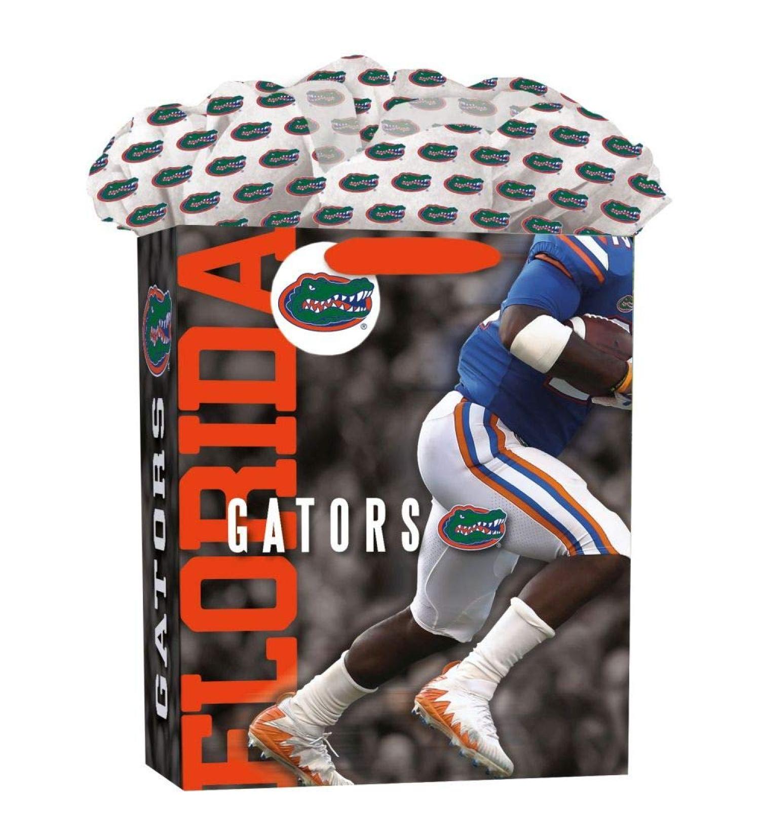 Florida Gators Large Gogo Gift Bag - Official Turner Sports (Old) Merchandise - Buy Online on GoSupps.com