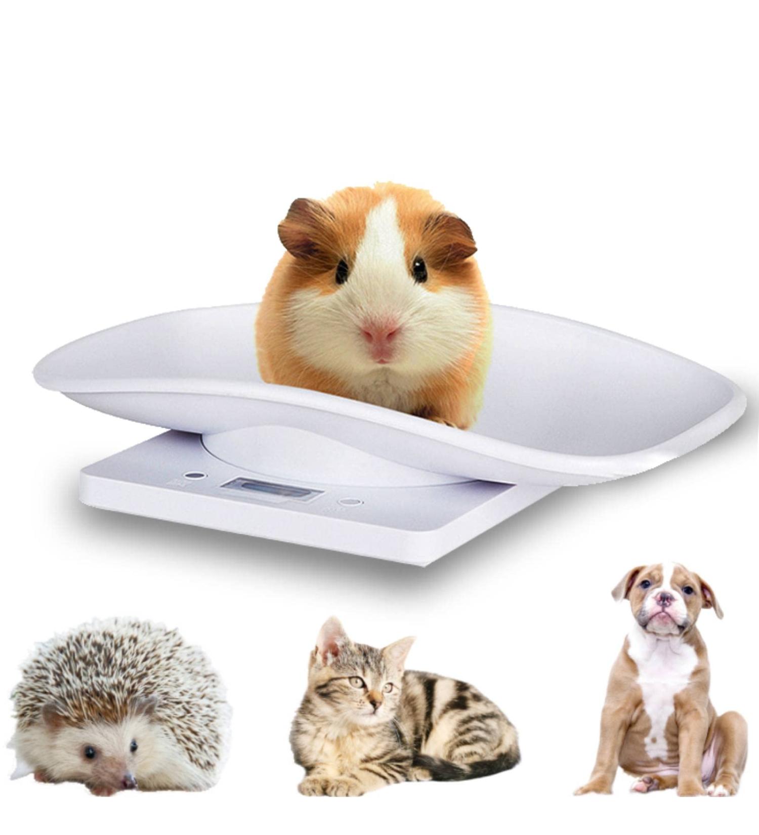Digital Pet Scale - 10 kg/1g Kitchen Scale for Cats & Small Pets with 4 Weighing Modes (kg/oz/lb/ml) - Buy Online on GoSupps.com