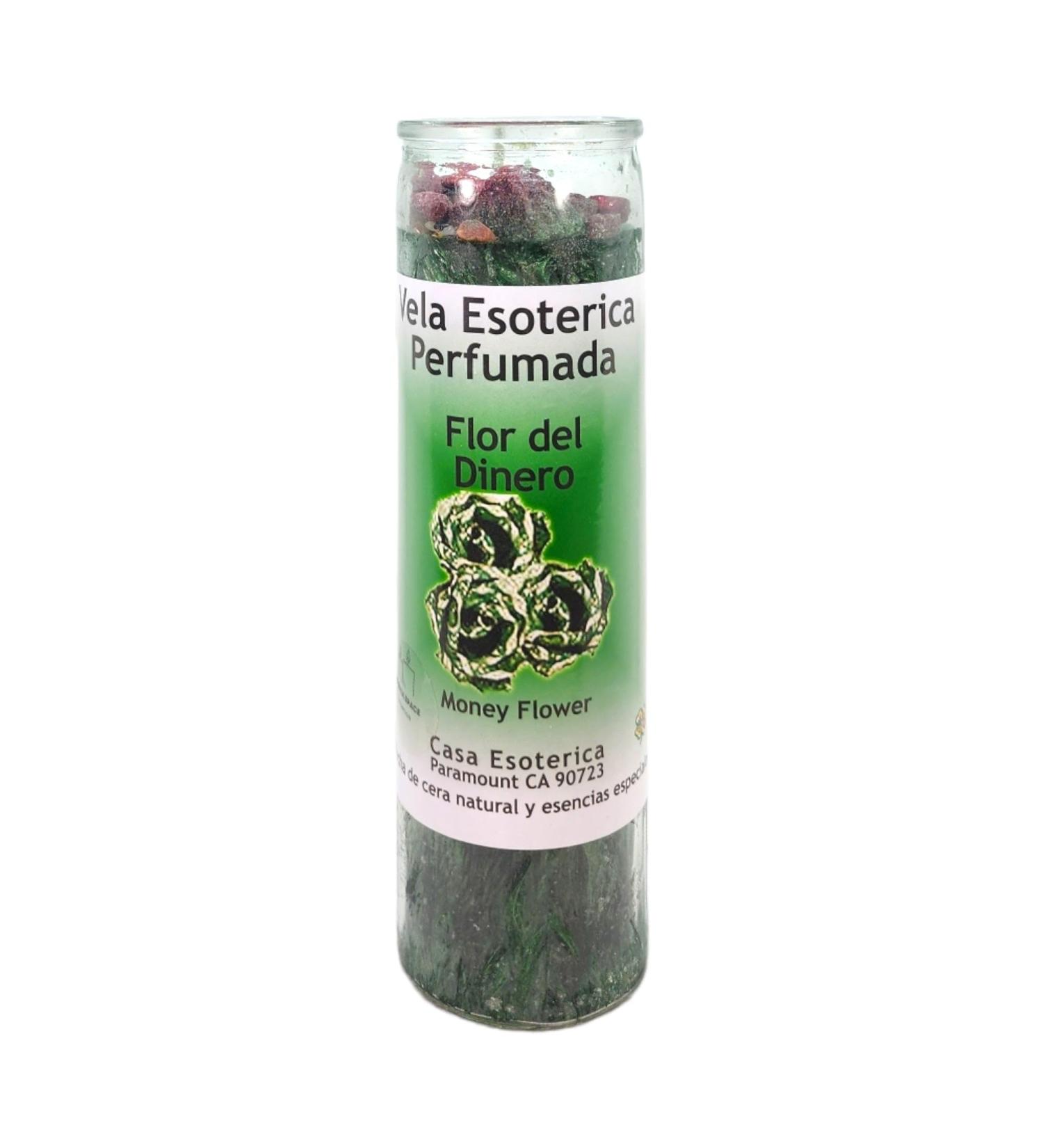 Money Flower Palm Wax Candle - Green | Spiritual Intention Spell Candle | Vela Casa Esoterica Perfumed (Flor Del Dinero) - International Shipping Available - Buy Online on GoSupps.com