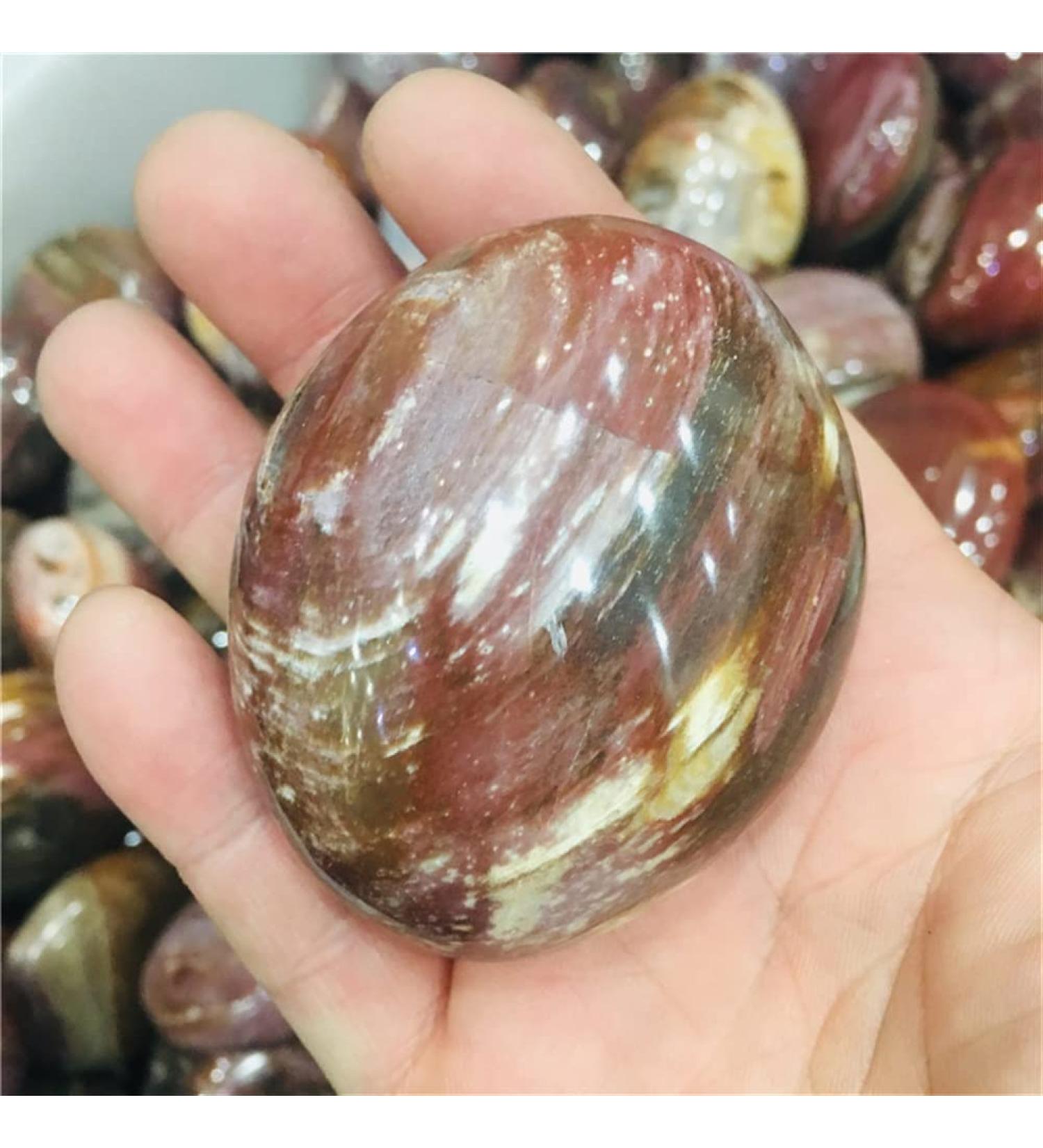Natural Crystal Rough Gems for Decoration 100g Natural Crystal Petrified woodPlay with The Rolling Palmetto 1pcs Aura Crystal - Buy Online on GoSupps.com