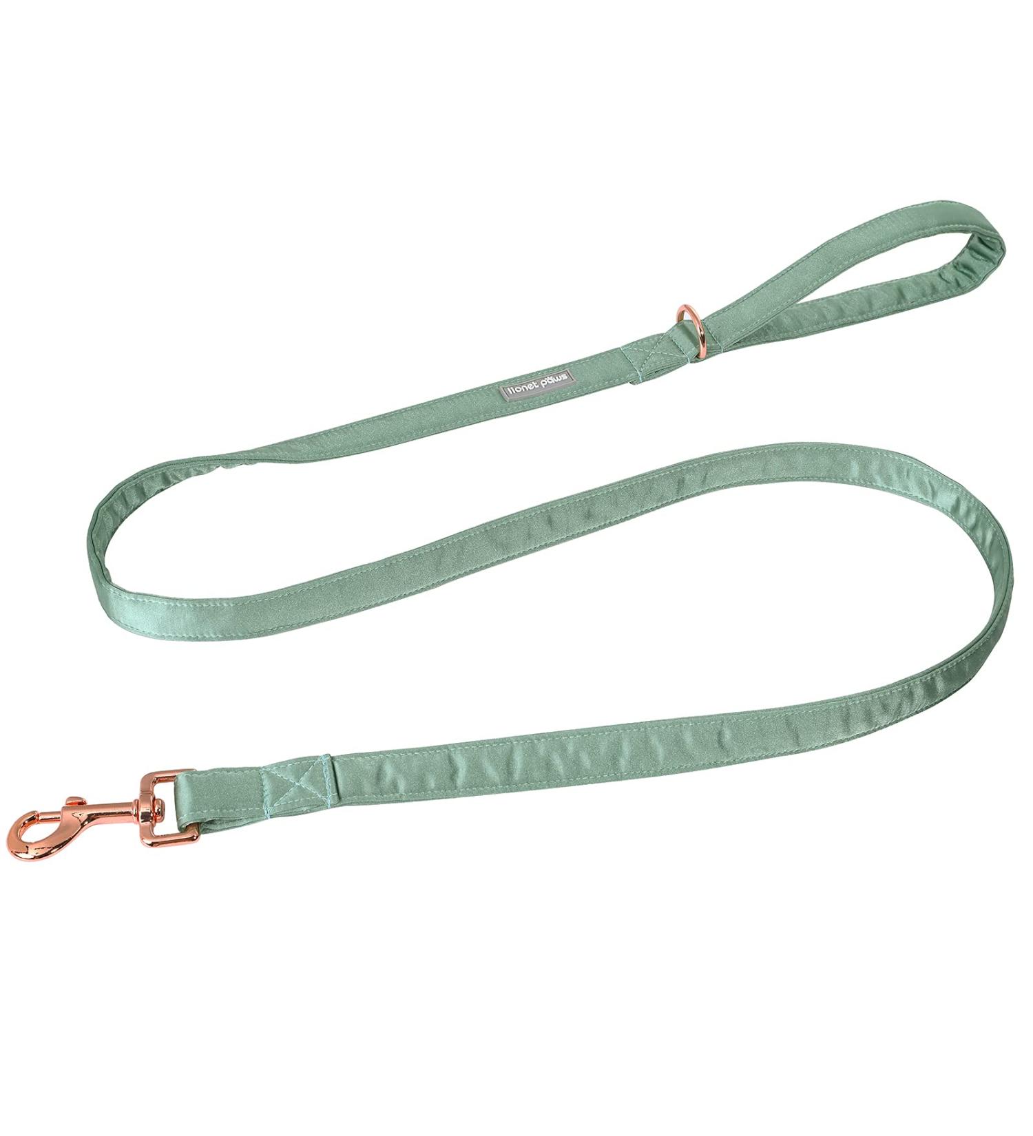 Lionet Paws Dog Leash - Premium Silk Leash for Small Medium & Large Dogs | Matching Collars for Boys & Girls | Grassy Design (1 Pack) - Buy Online on GoSupps.com