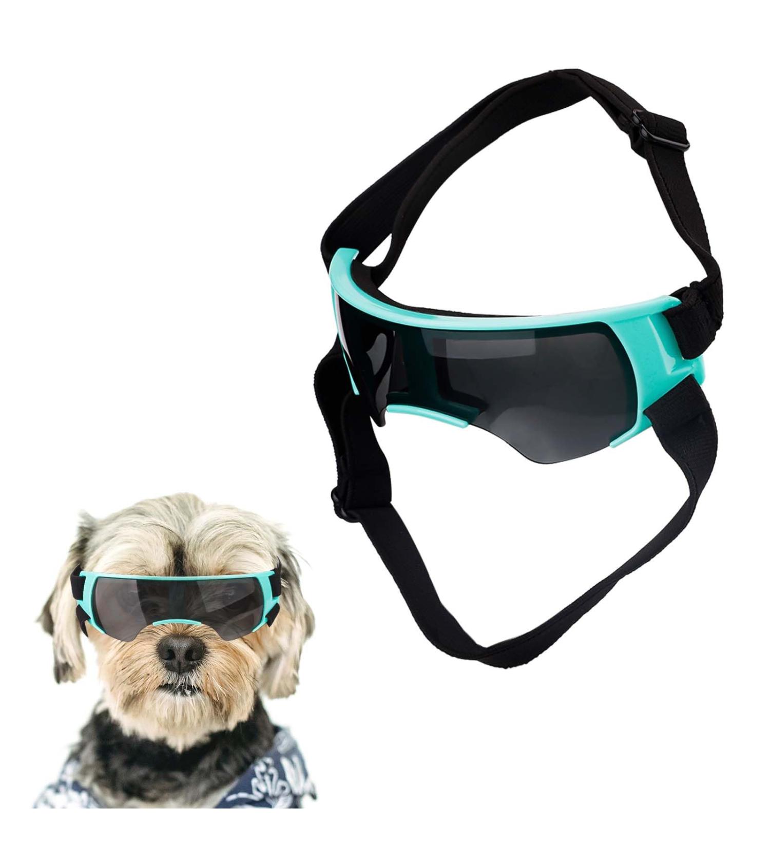 Dog Goggles for Small Dogs Windproof Dog Sunglasses with Adjustable Strap Puppy Sunglasses for Small Medium Dogs Eye Protection Goggles for Outdoor Riding Driving Eyewear (Blue) - Buy Online on GoSupps.com