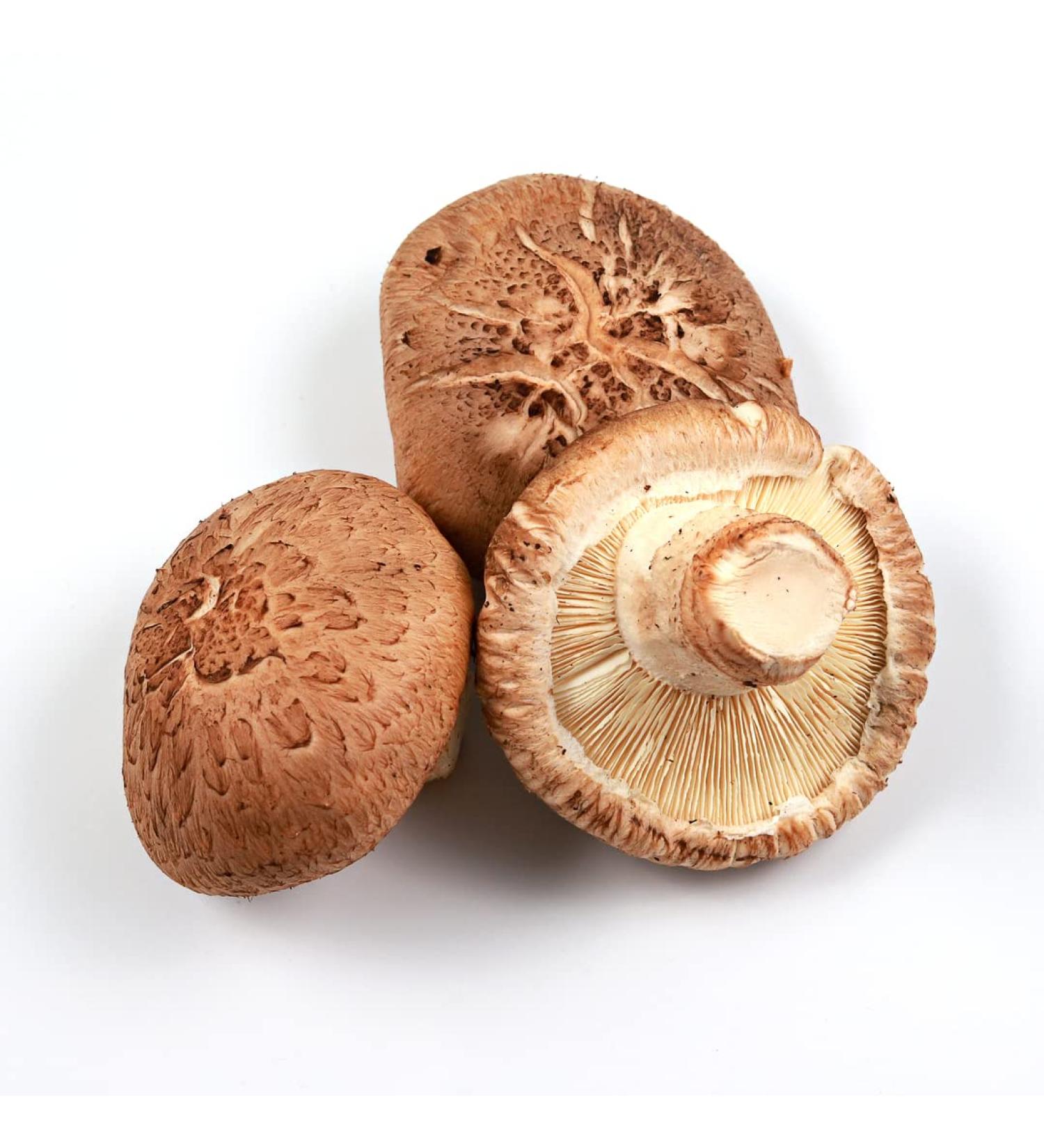 Shiitake Mushroom 2kg