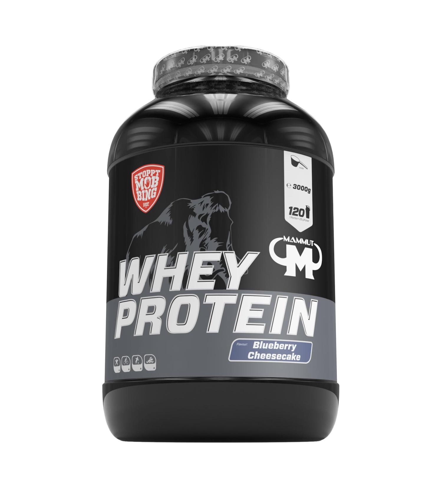 Whey Protein Blueberry Cheesecake 3000g - Premium 3kg Muscle Recovery Supplement | Free International Shipping - Buy Online on GoSupps.com