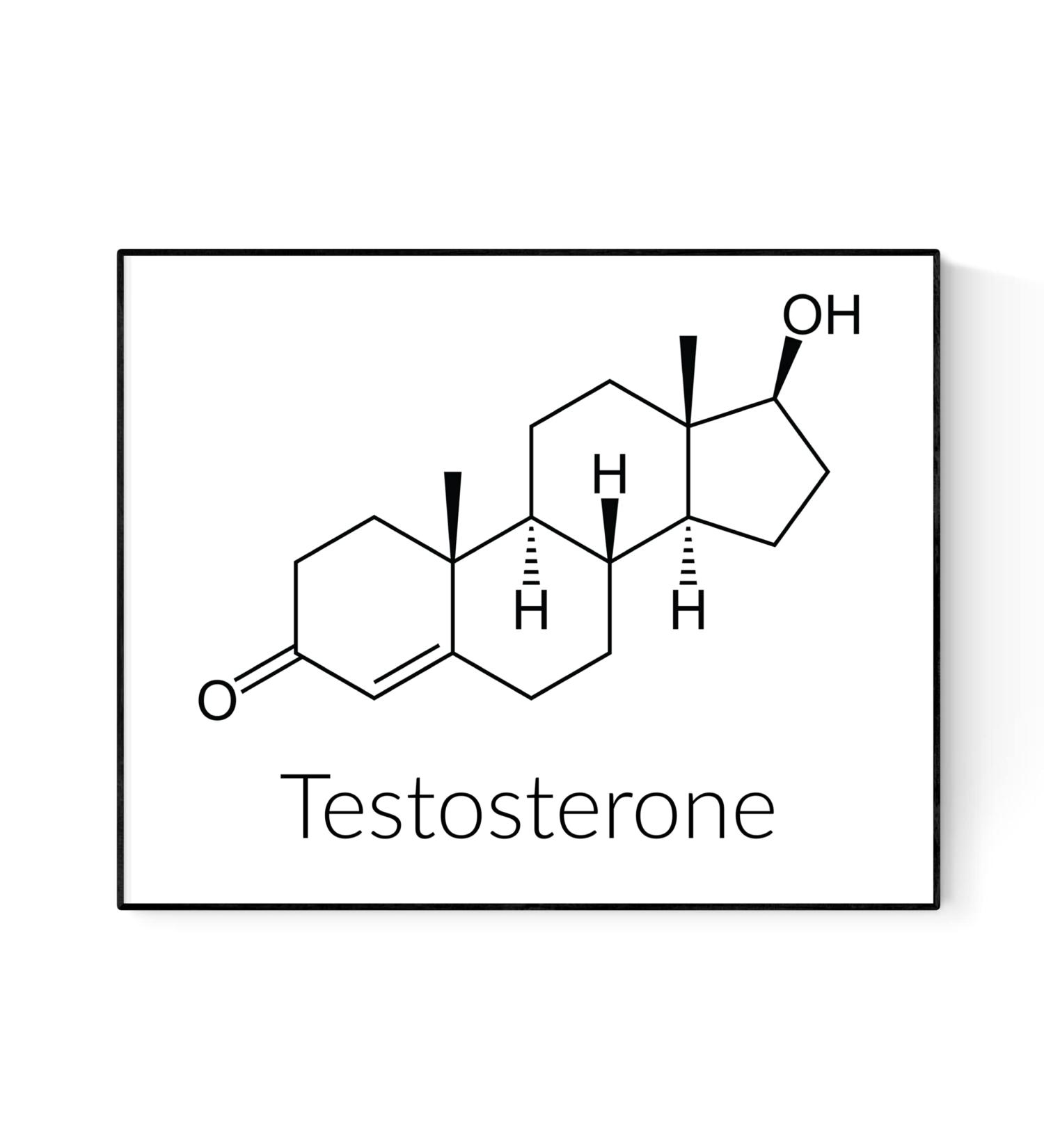 Testosterone Molecular Structure Art Print | Science & Chemistry | 16x20 International Shipping Available - Buy Online on GoSupps.com