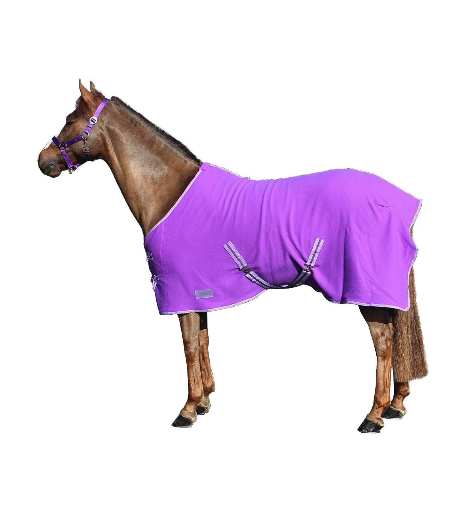 Buy Netproshop Basic Horse Sweat Rug - Fleece Quality Sizes 105-155 Purple Color | International Shipping - Buy Online on GoSupps.com