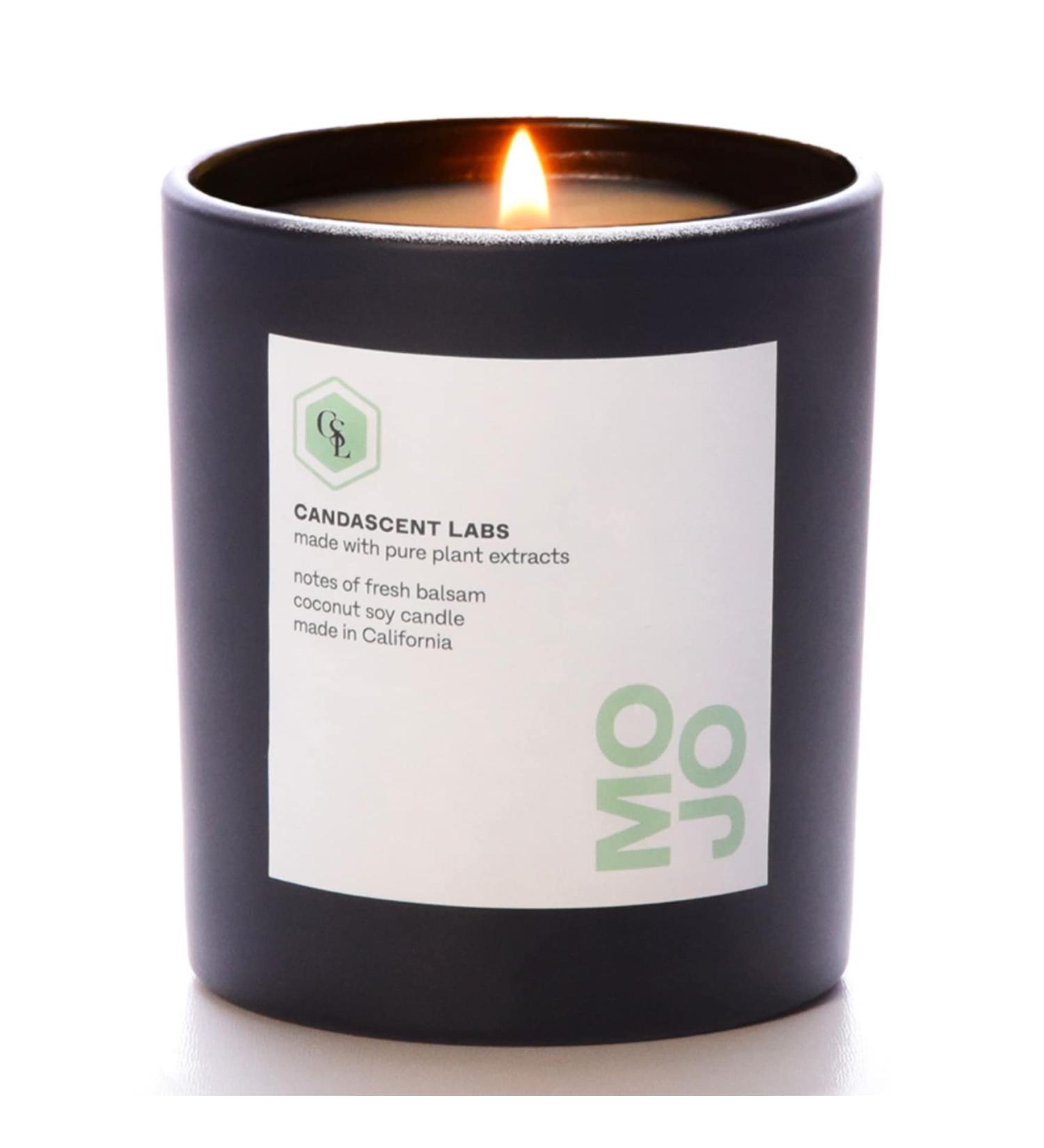 Wellness Candle Organic Forest Bathing | CandaScent Labs | 100% Botanical Black Spruce & Fir Balsam - Luxurious Rejuvenating & Synthetic-Free - Buy Online on GoSupps.com