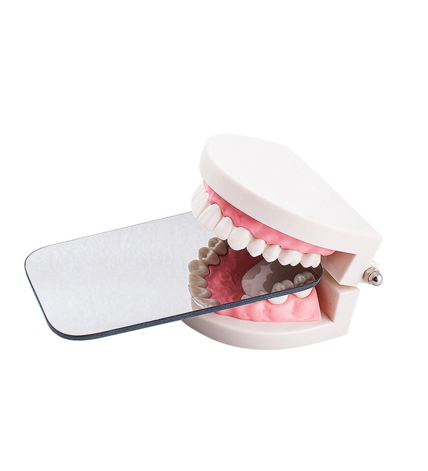 Fencia Intraoral Dental Mirrors - Rhodium Coated Reflectors for Perfect Dental Photography - International Shipping Available - Buy Online on GoSupps.com