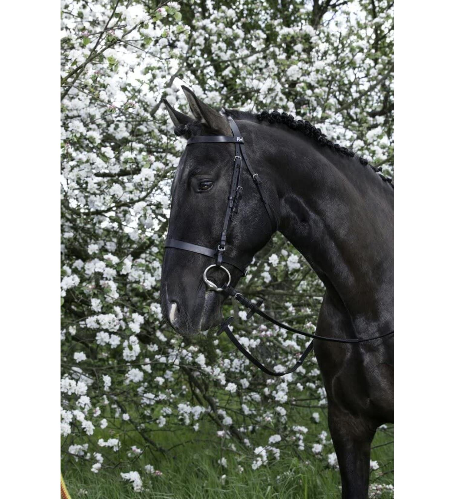Riving World Bridon French Noseband Black Havane-Poney