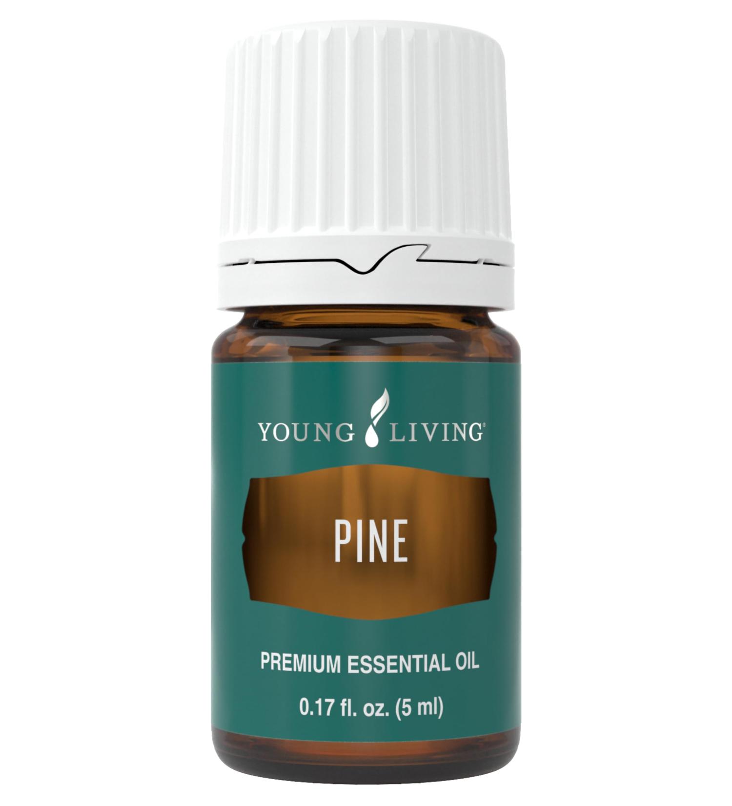 Pine Essential Oil 5ml by Young Living | Uplifting Aroma & Refreshing Breathing | Repels Negative Energy | Ideal for Essential Oil Diffusers - Buy Online on GoSupps.com