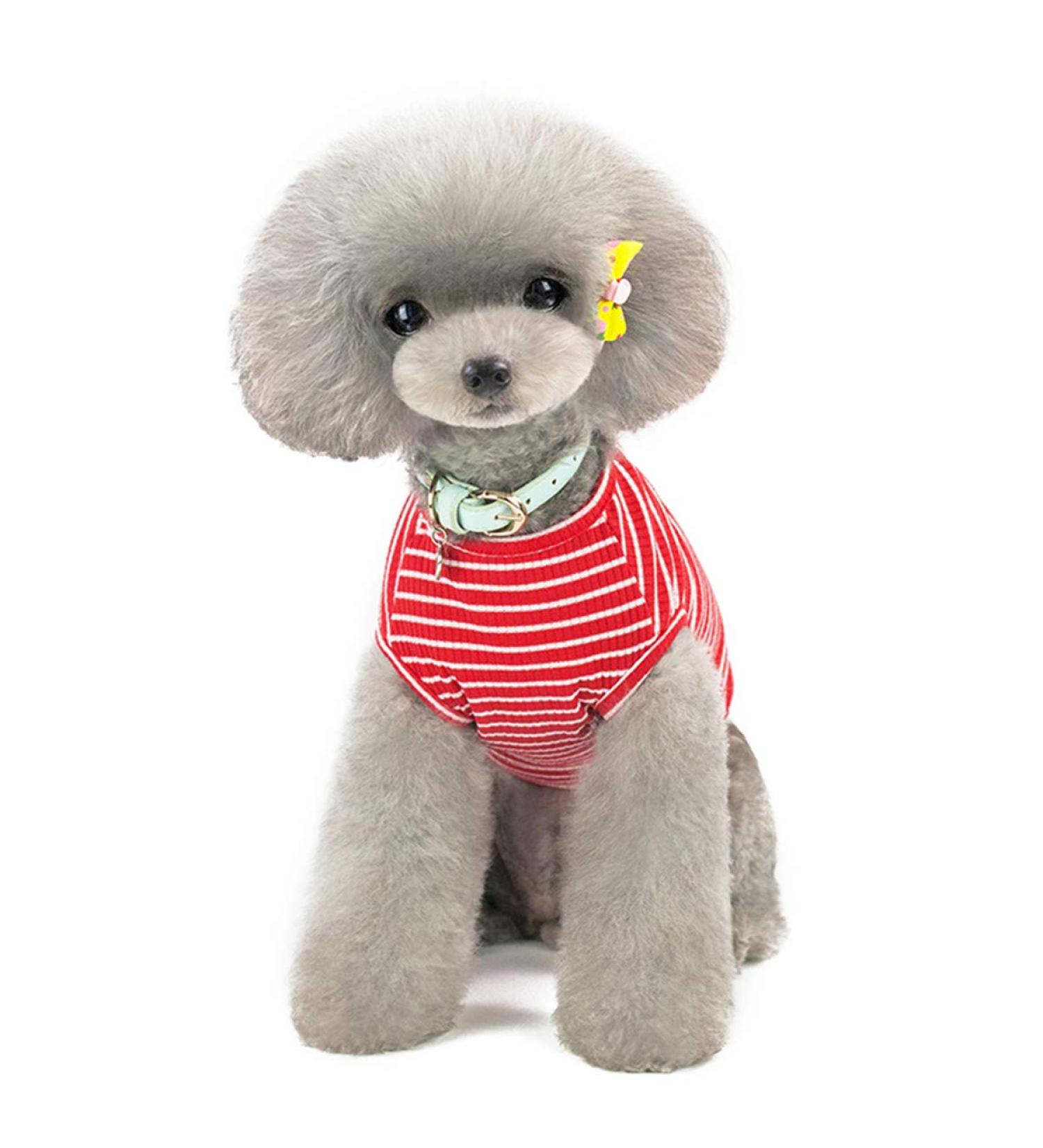 Shop Cute Striped Pet Pullover & Sweater for Small Dogs & Cats | Lightweight & Stylish | Pink Red Blue Gray - Buy Online on GoSupps.com