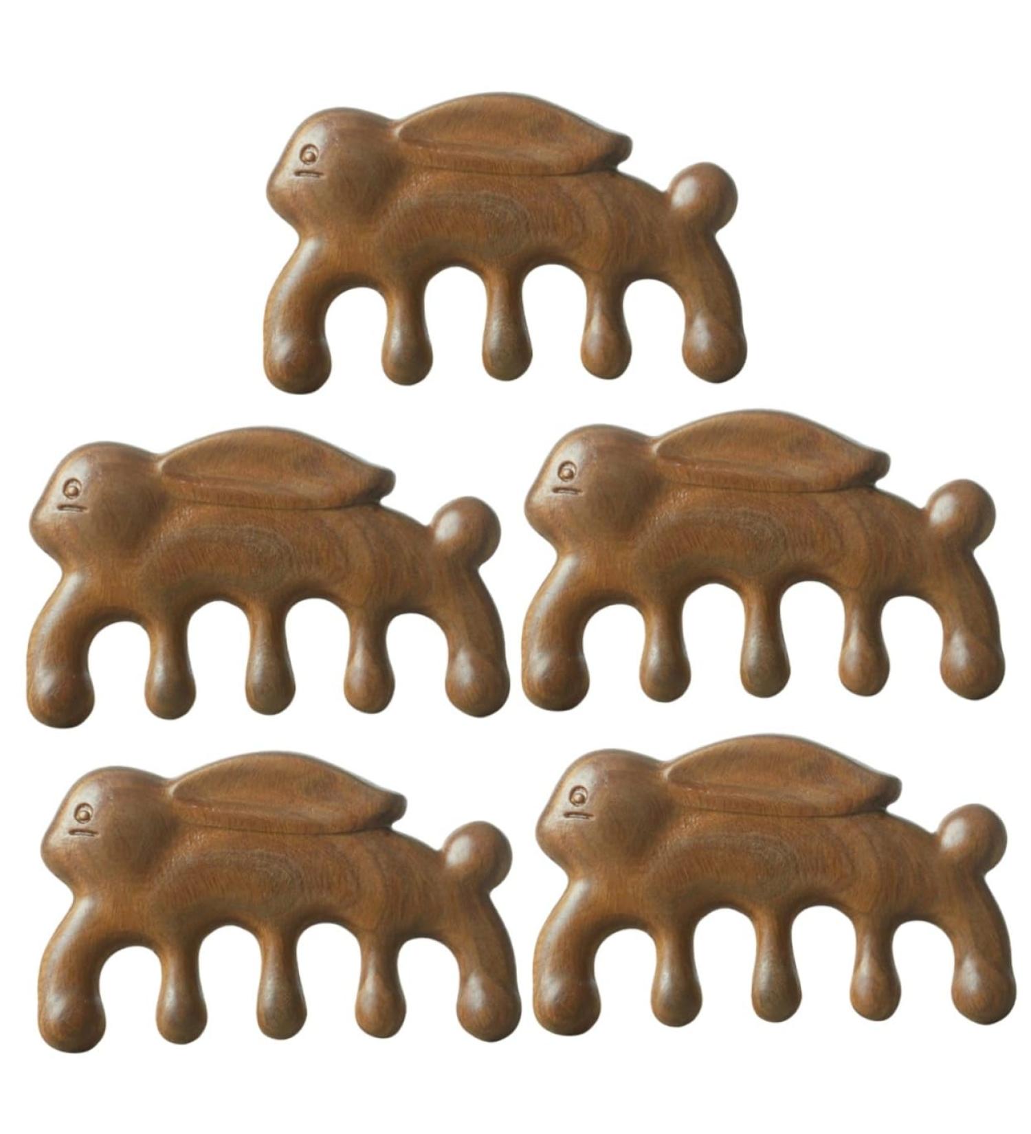 Healeved 5pcs Massage Comb Set - Eco-Friendly Green Sandalwood Hair Care Tools for Women - International Shipping Available - Buy Online on GoSupps.com