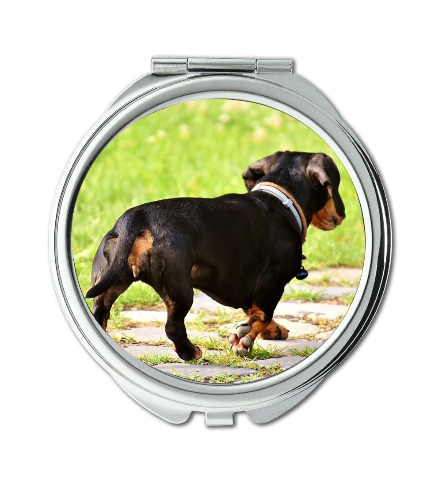 YENDOSTEEN Mirror Travel Mirror Dachshund Dog Pet Cute Run pocket mirror portable mirror - Buy Online on GoSupps.com
