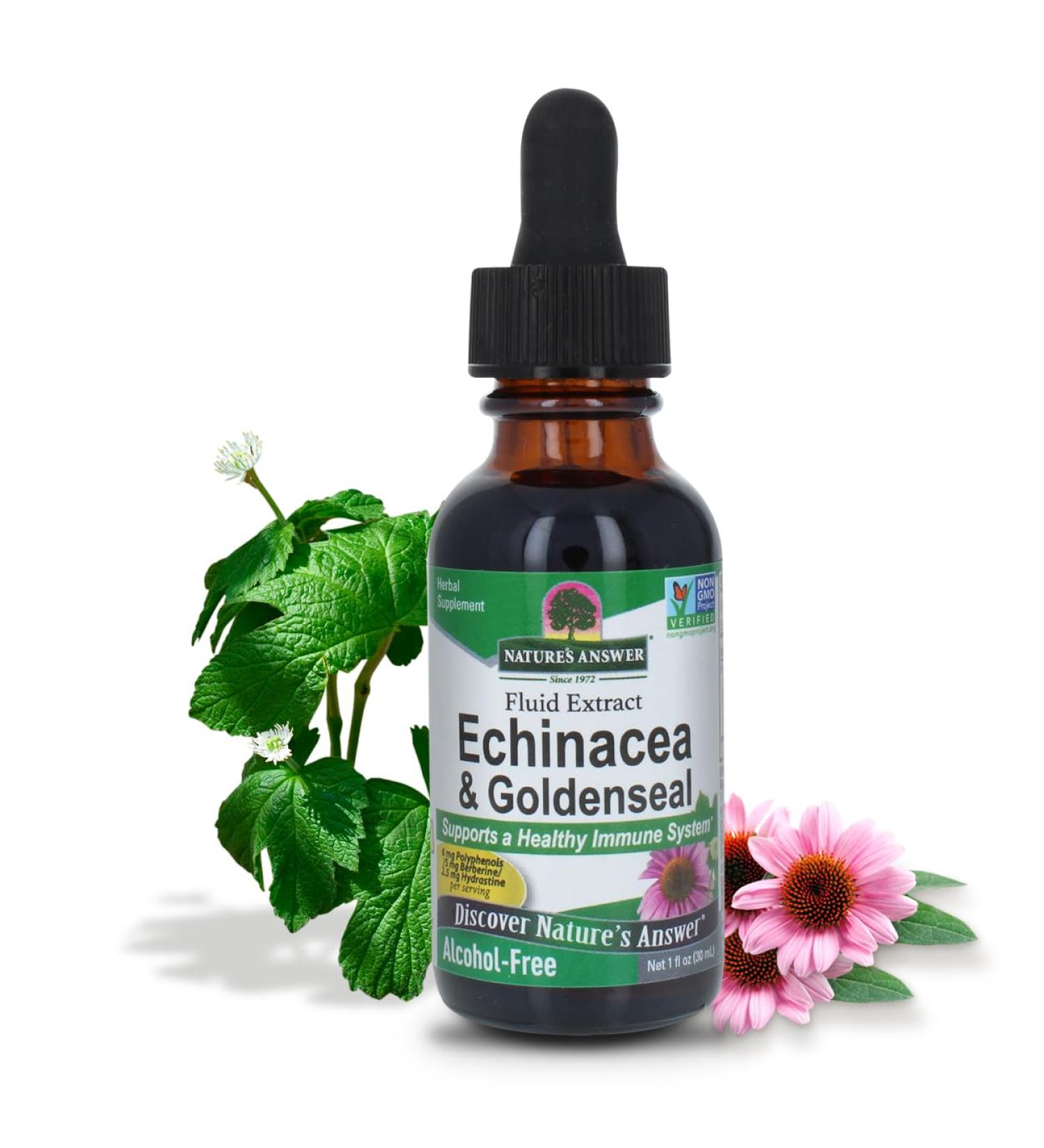 Nature's Answer Echinacea & Goldenseal Liquid Extract Drops Alcohol Free 1 Ounce | Promotes Overall Wellness | Natural Immune Booster | Inflammatory Reducer - Buy Online on GoSupps.com