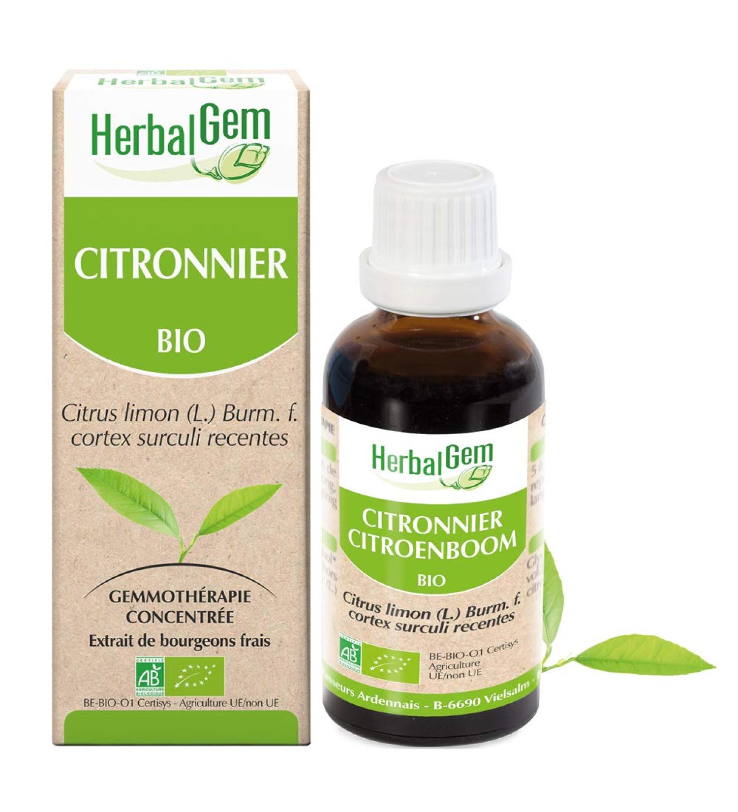 HerbalGem Organic Lemon Tree Macerat-Mother of Gemmotherapy Concentrated 30 ml - Buy Online on GoSupps.com