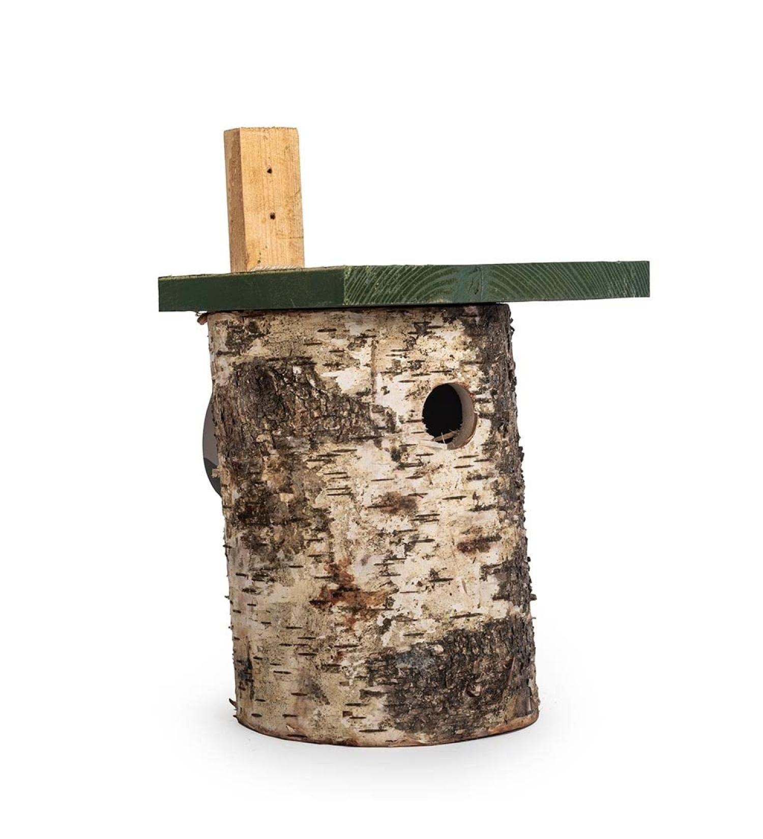 Natural Birch Log Nest Box 32mm Hole - popular with Great Tits Pied Flycatchers Tree Sparrows and House Sparrows - Buy Online on GoSupps.com