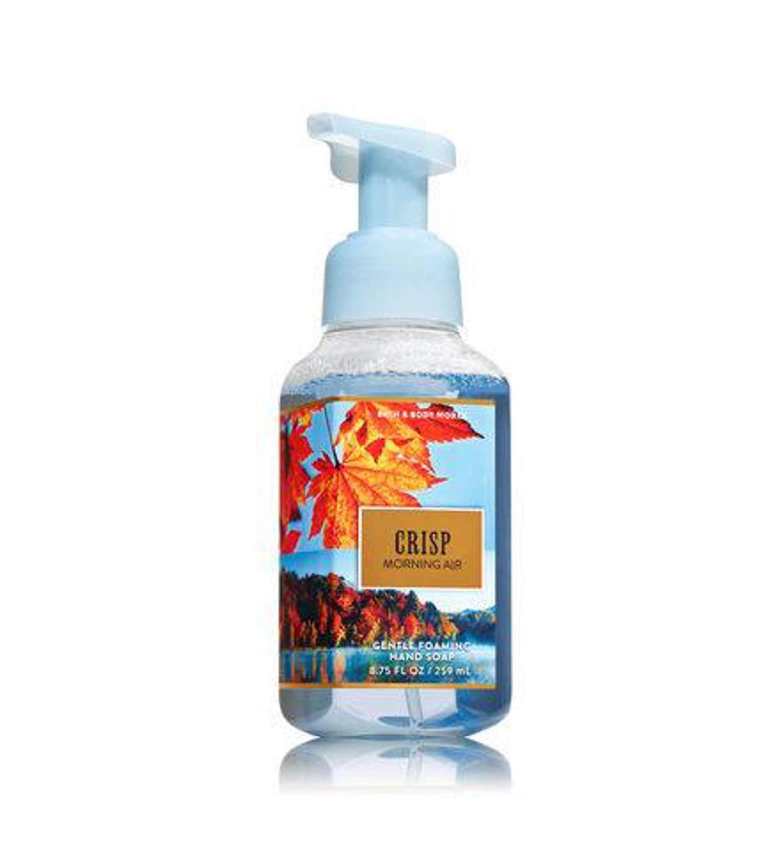 Bath and Body Works Gentle Foaming Hand Soap Crisp Morning Air