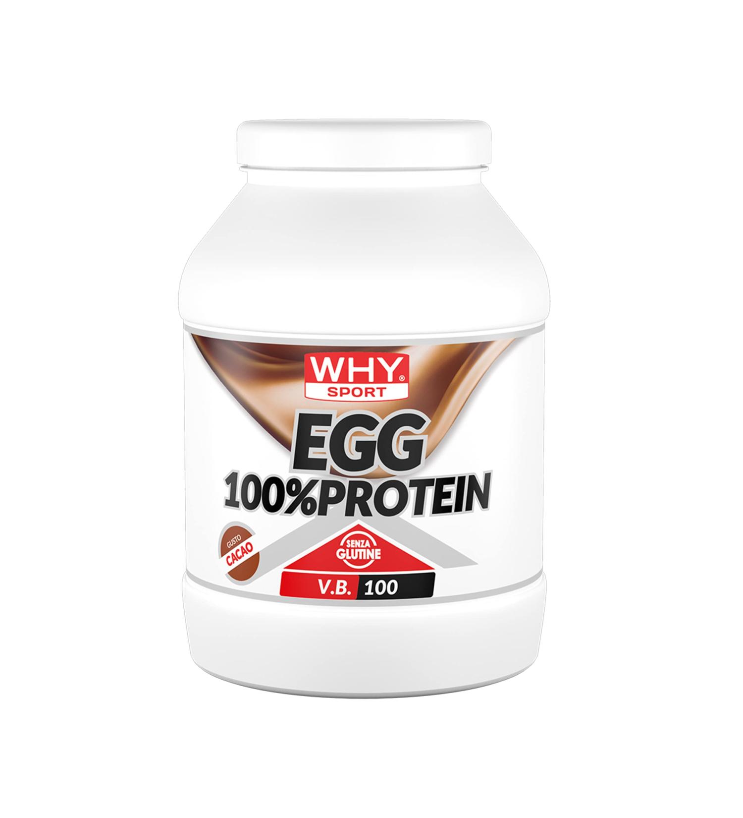 WHY SPORT EGG Protein Powder - 100% Lactose-Free Egg Albumin - Cocoa Flavor - 750g - Premium International Shipping - Buy Online on GoSupps.com