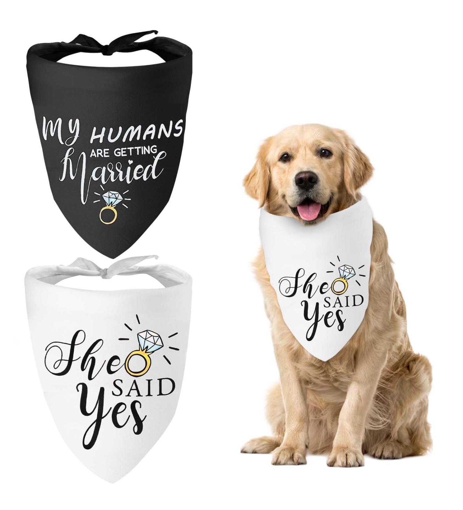 WLLHYF My Humans are Getting Married She Said Yes Dog Bandana Pets Scarf Triangle Bibs Kerchief Set Wedding Photo Prop Decoration Pet Costume Accessories for Dog Lovers Small Medium Large Dogs Cats - Buy Online on GoSupps.com
