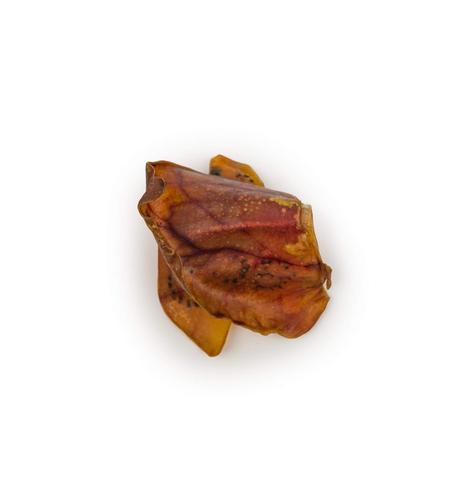 Loyalty Dog Treats Pig Ears Natural Single Ingredient Dehydrated Dog Chew (Pack of 25) Dog Treats 25 Pack - Buy Online on GoSupps.com