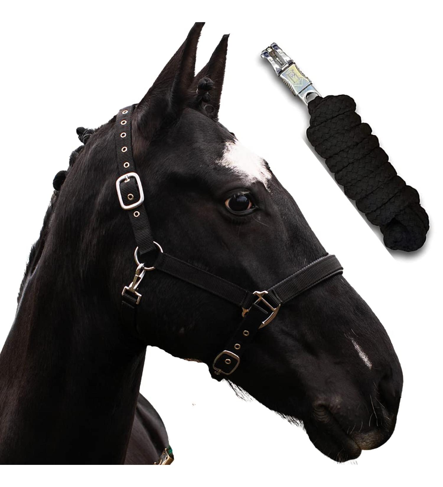 Halter for Horses with Rope | Premium Knitting Horse Halters for Pony Thoroughbred Full & X-Full (Black Cold Blood) - Shop Internationally - Buy Online on GoSupps.com