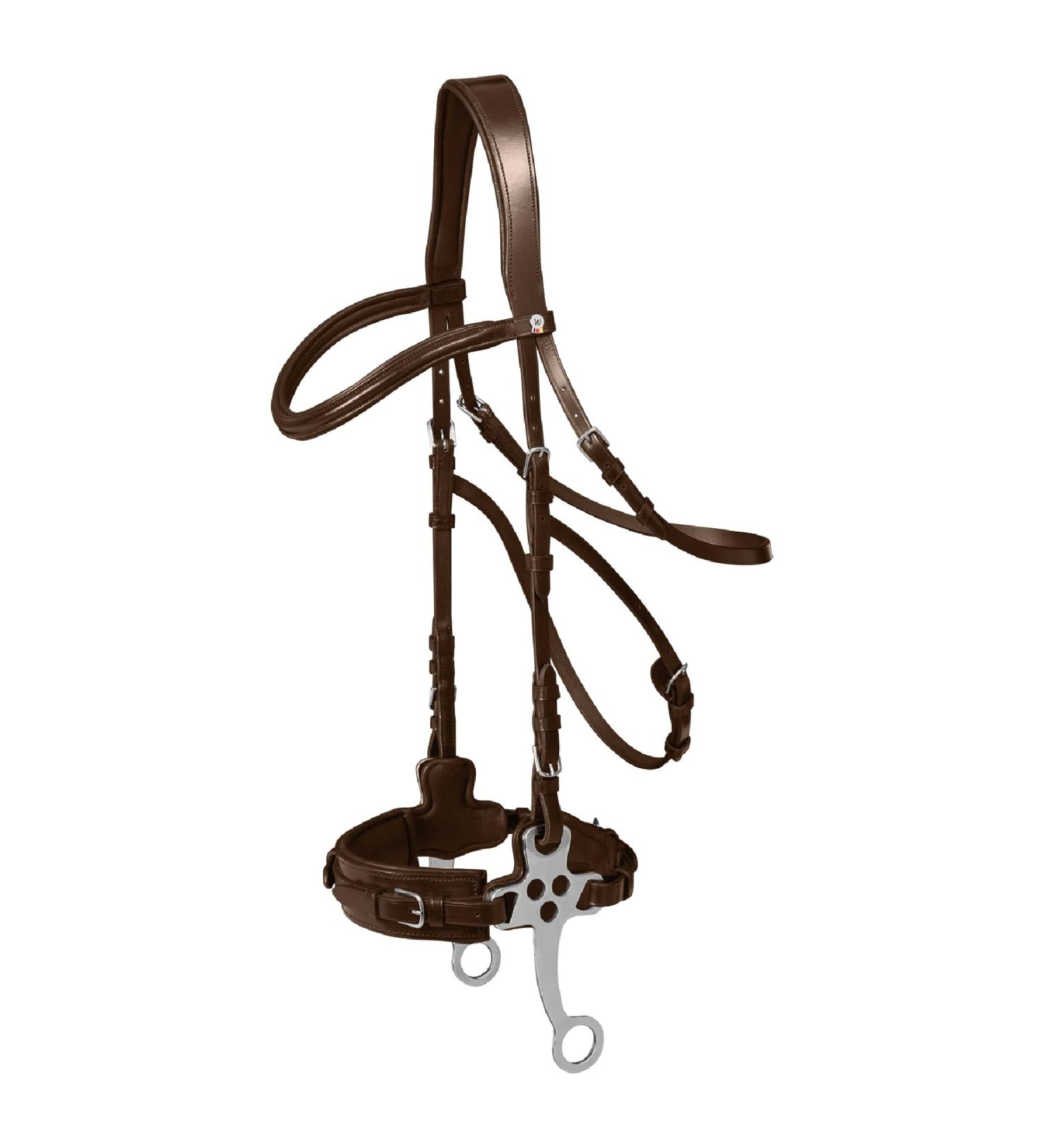 WALDHAUSEN X-Line Hackamore Bridle - Dark Brown Stainless Steel for Warmbloods - Full Size | Premium Horse Gear - Buy Online on GoSupps.com