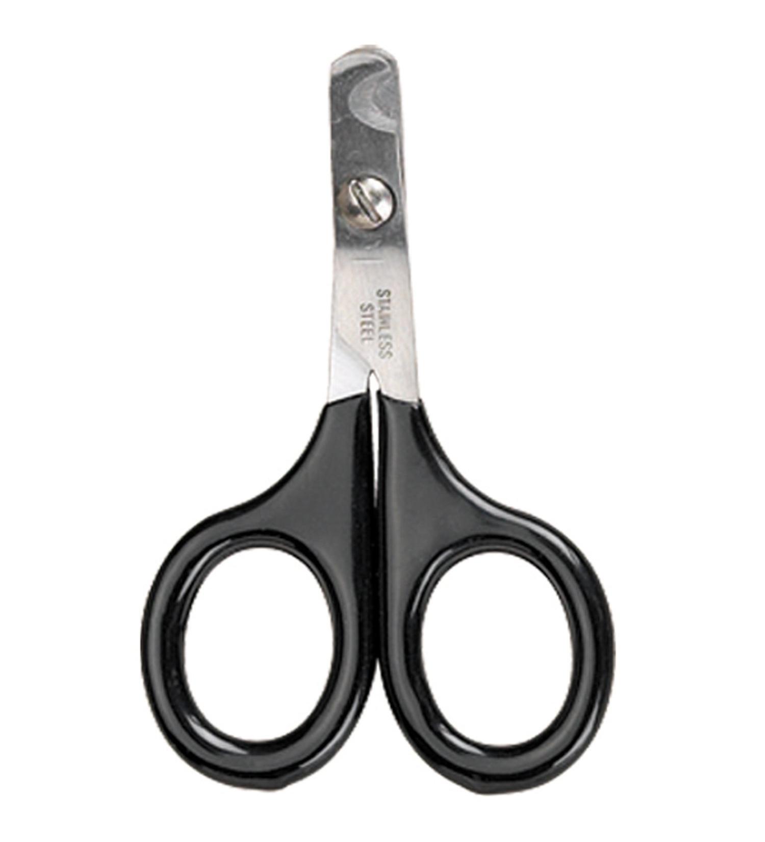 Master Grooming Tools Pet Nail Scissors - Small Stainless Steel Trimmer for Cats and Birds - Buy Online on GoSupps.com