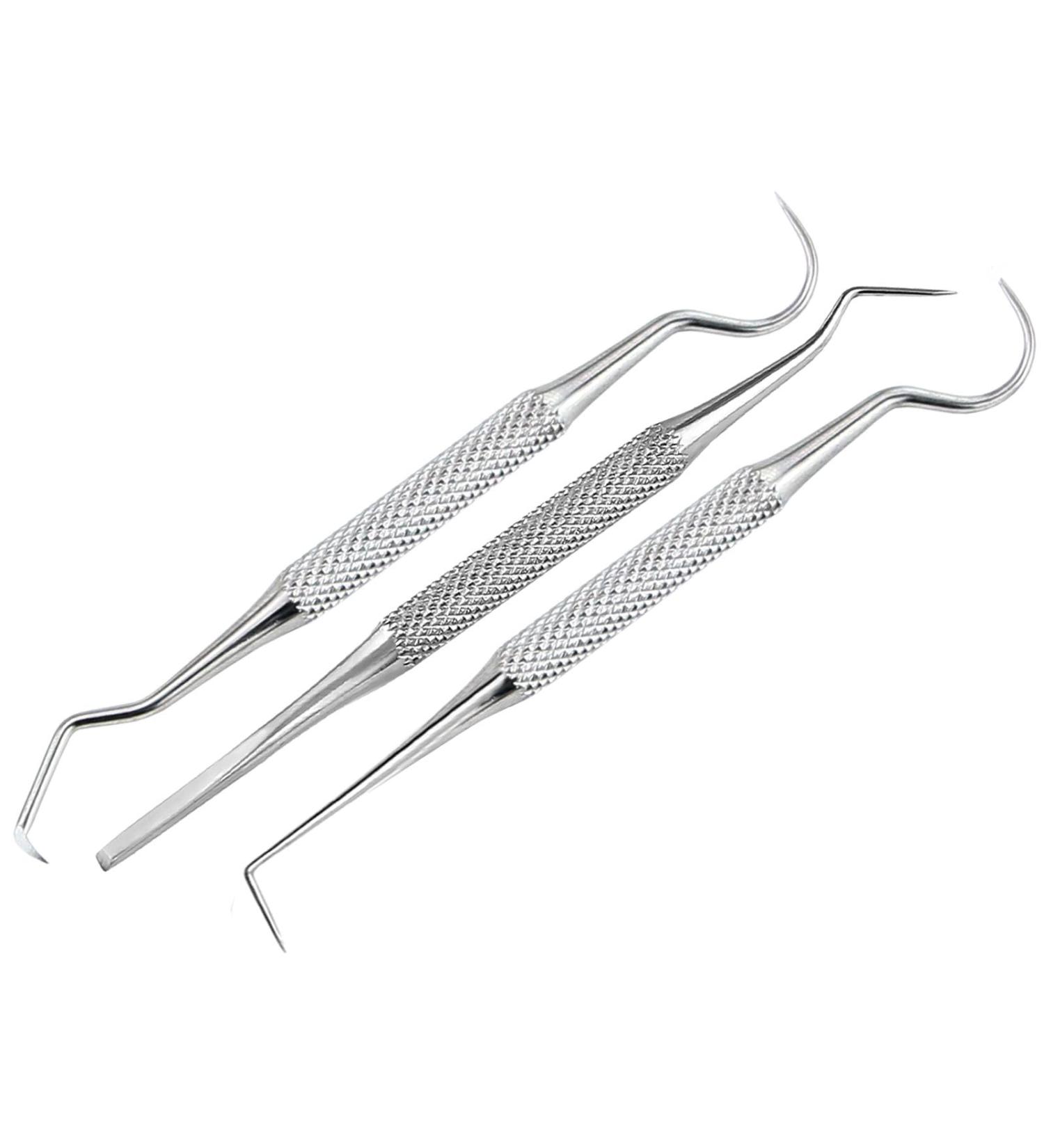 Stainless Steel Pet Dental Care Set | Tartar Scratches Dog & Cat Tooth Cleaner | Mini Toothpick for Rodents - Buy Online on GoSupps.com