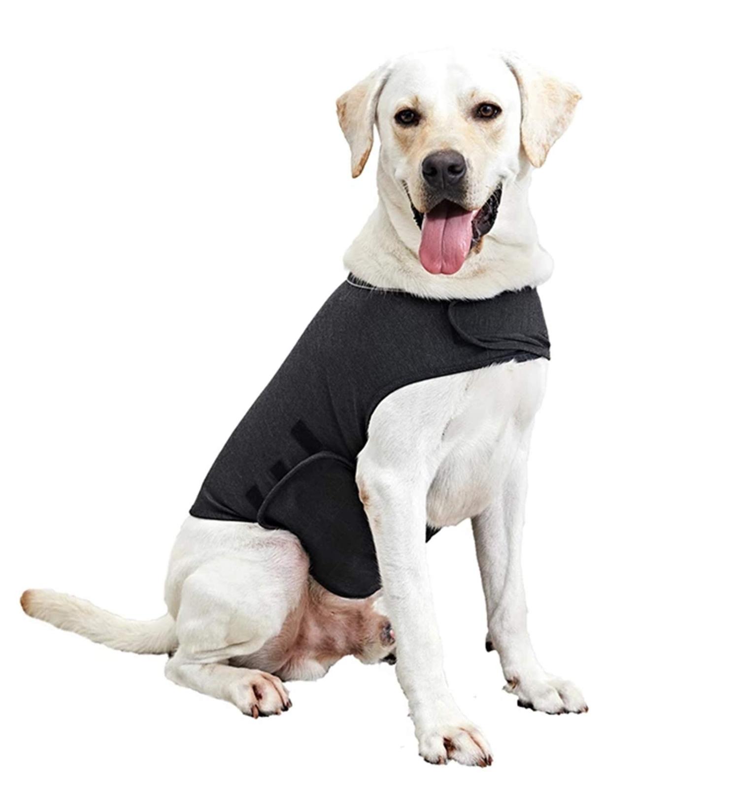 Wingfly Dog Calming Vest | Anxiety Relief Shirt for Dogs | Stress-Free Pet Jacket (M Gray) - Buy Online on GoSupps.com