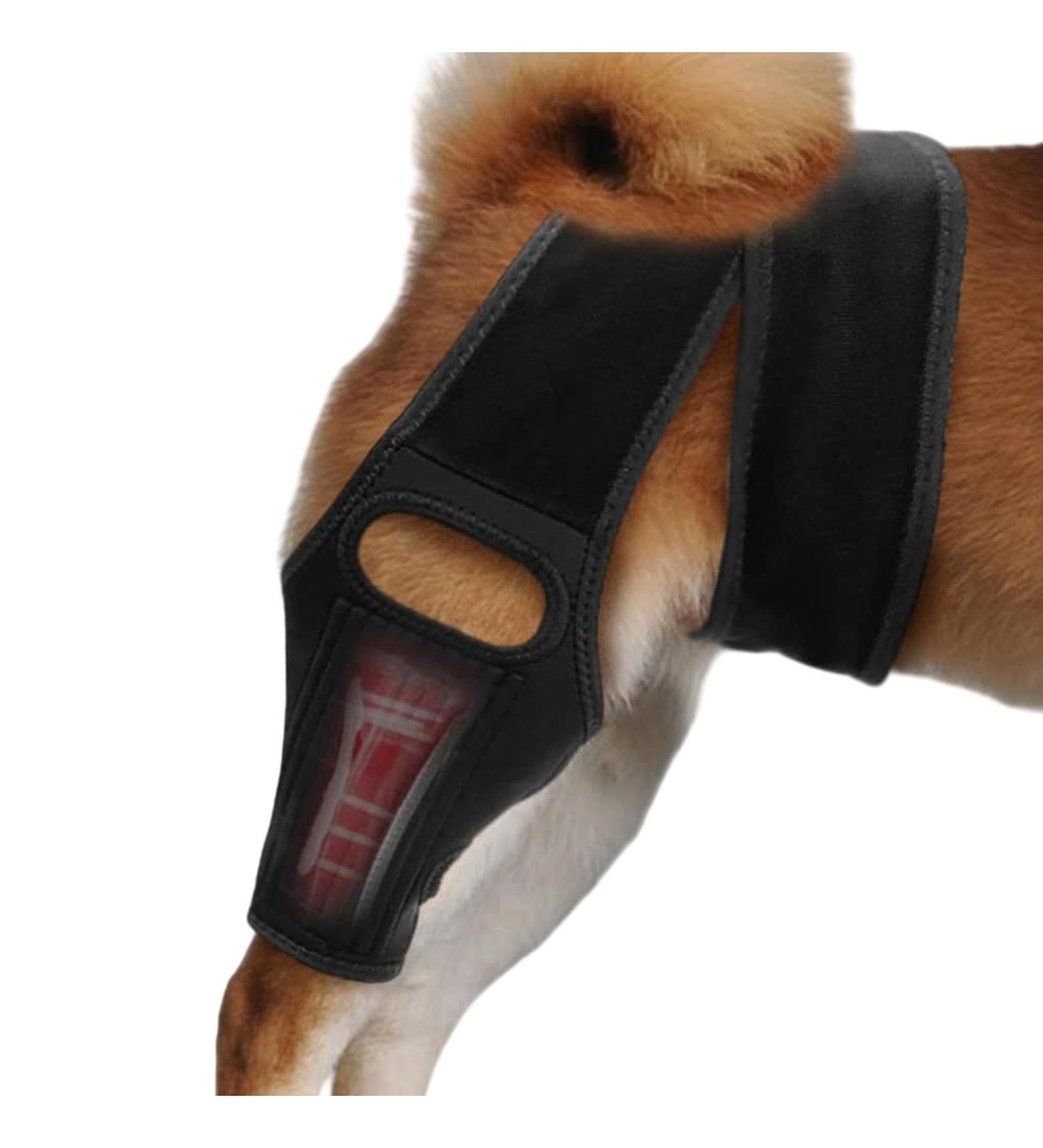 Dog Knee Brace - Dog Rear Leg Braces | Dog Hip Knee Leg Brace | Dog Elbow Protector With 10 Support Sticks | Dog Back Leg Support Brace | Comfortable Hip And Leg Protector For Senior And Disabled Dogs - Buy Online on GoSupps.com
