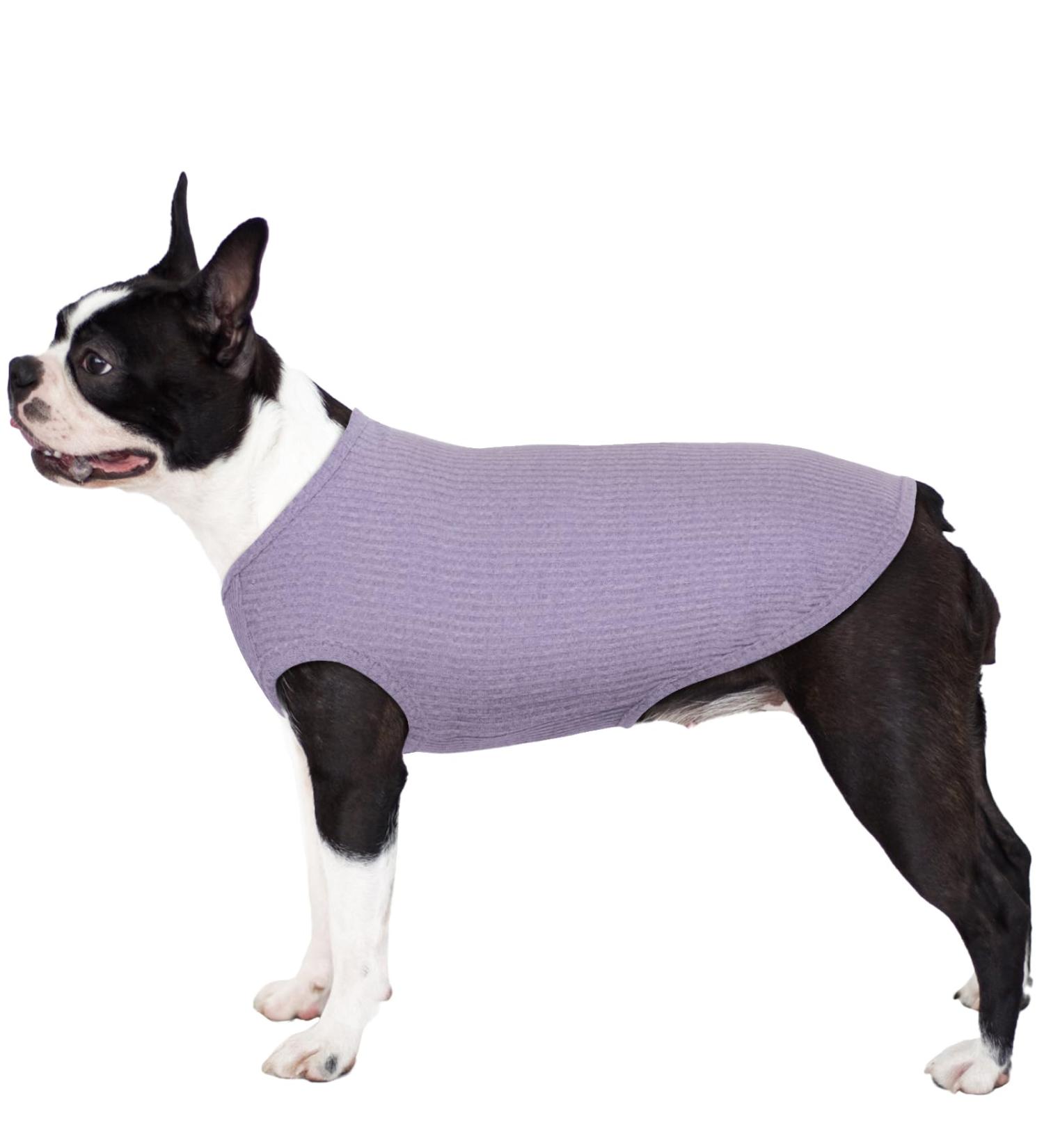 Hjumarayan Dog Sweater - Washable Elastic Striped Dog Shirt for Large & Medium Dogs - XXL Purple - Buy Online on GoSupps.com