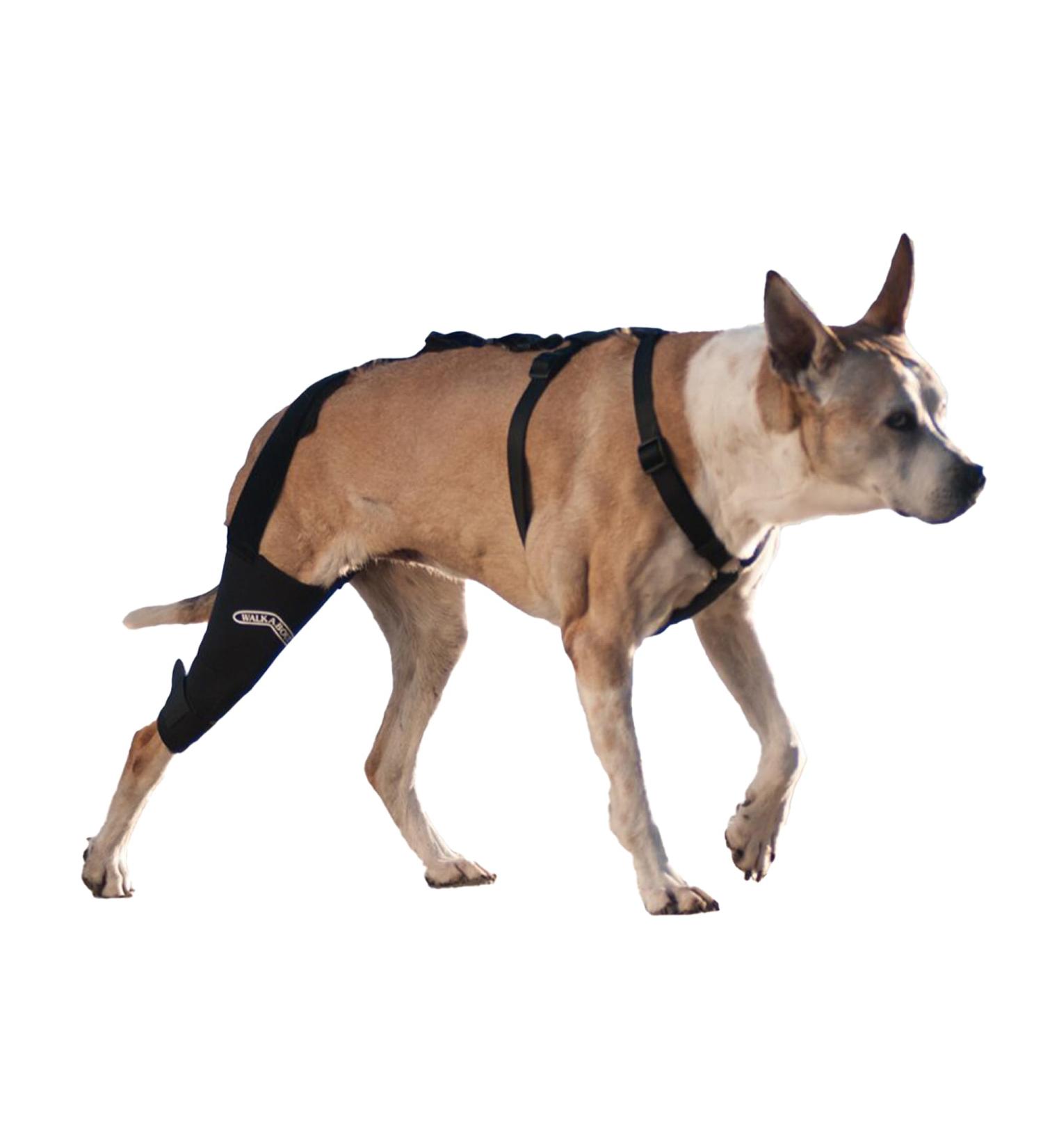Walkabout Canine Knee Brace - Medium Left Side (10-11 inches) - Optimal Support for Dogs - Buy Online on GoSupps.com