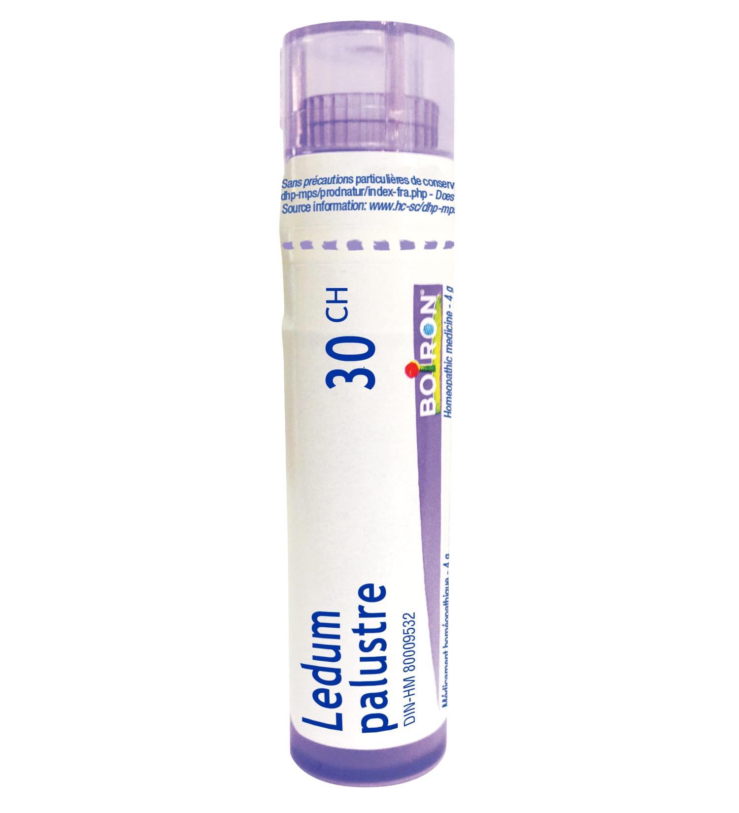 Ledum Palustre 30ch Boiron Homeopathic Medicine - Buy Online on GoSupps.com