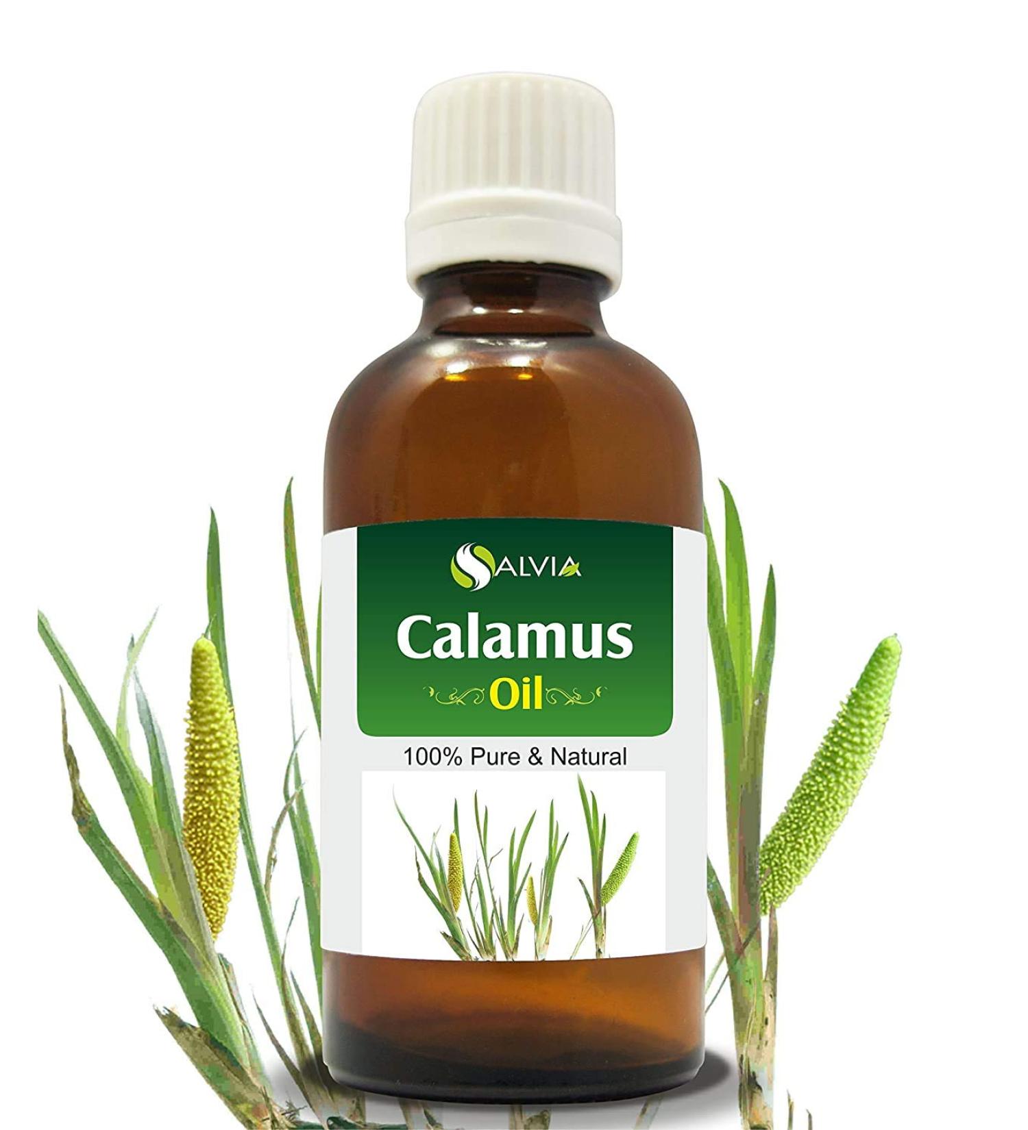 Calamus (Acorus Calamus) Essential Oil 100% Pure & Natural - Undiluted Uncut Cold Pressed Aromatherapy Premium Oil - Therapeutic Grade - 30 ML Calamus 30 ml (Pack of 1) - Buy Online on GoSupps.com