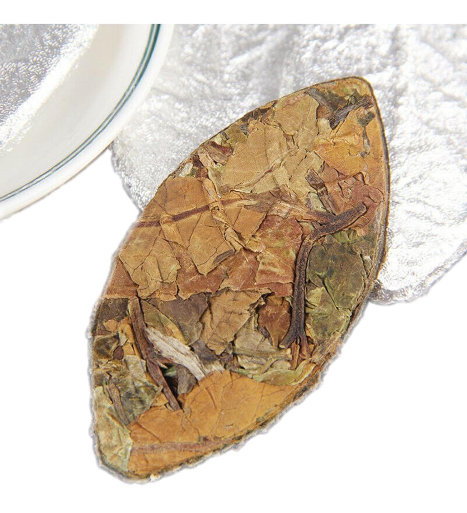 Th blanc chinois de haute montagne parfum de miel d'arbre ancien Th GoldenLeaf 500g - Buy Online on GoSupps.com