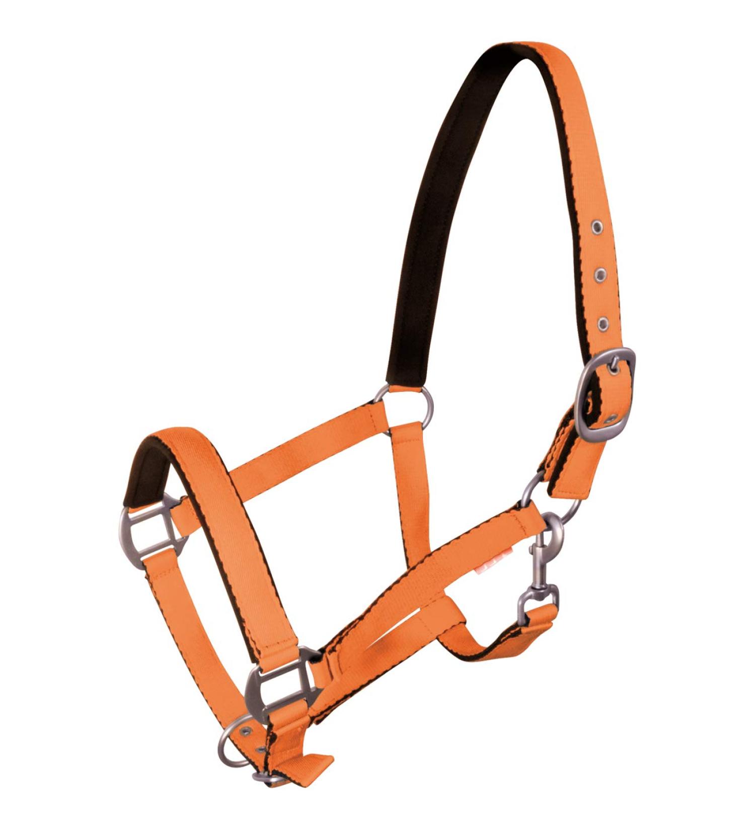 York Horse Halter Fluo soft padded stable halter pasture halter noseband (Full orange) Full orange