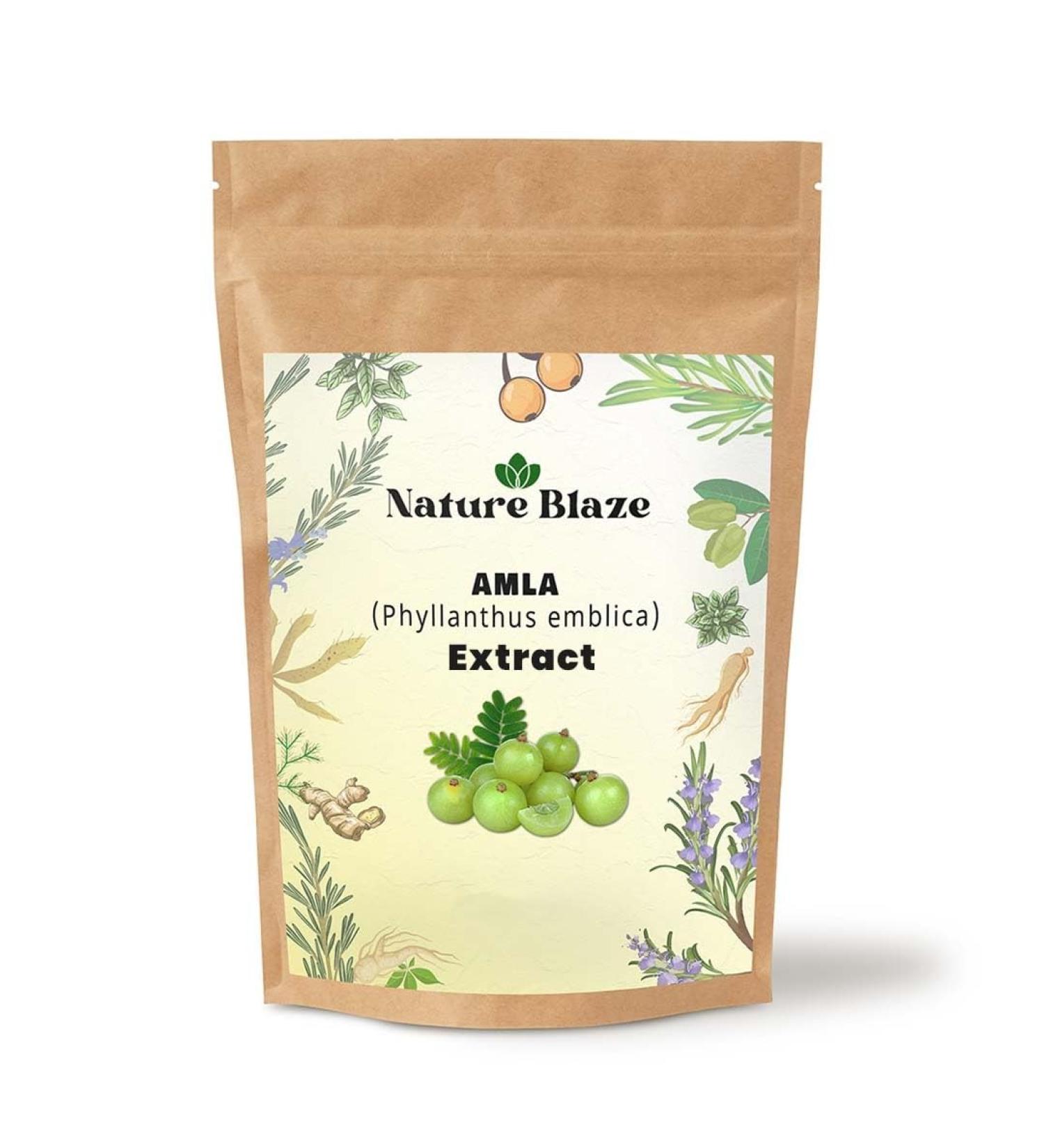 Indian Ayurvedic Amla Extract Powder 4 Oz / 0.25 lb Amla Extract 4 Ounce (Pack of 1) - Buy Online on GoSupps.com